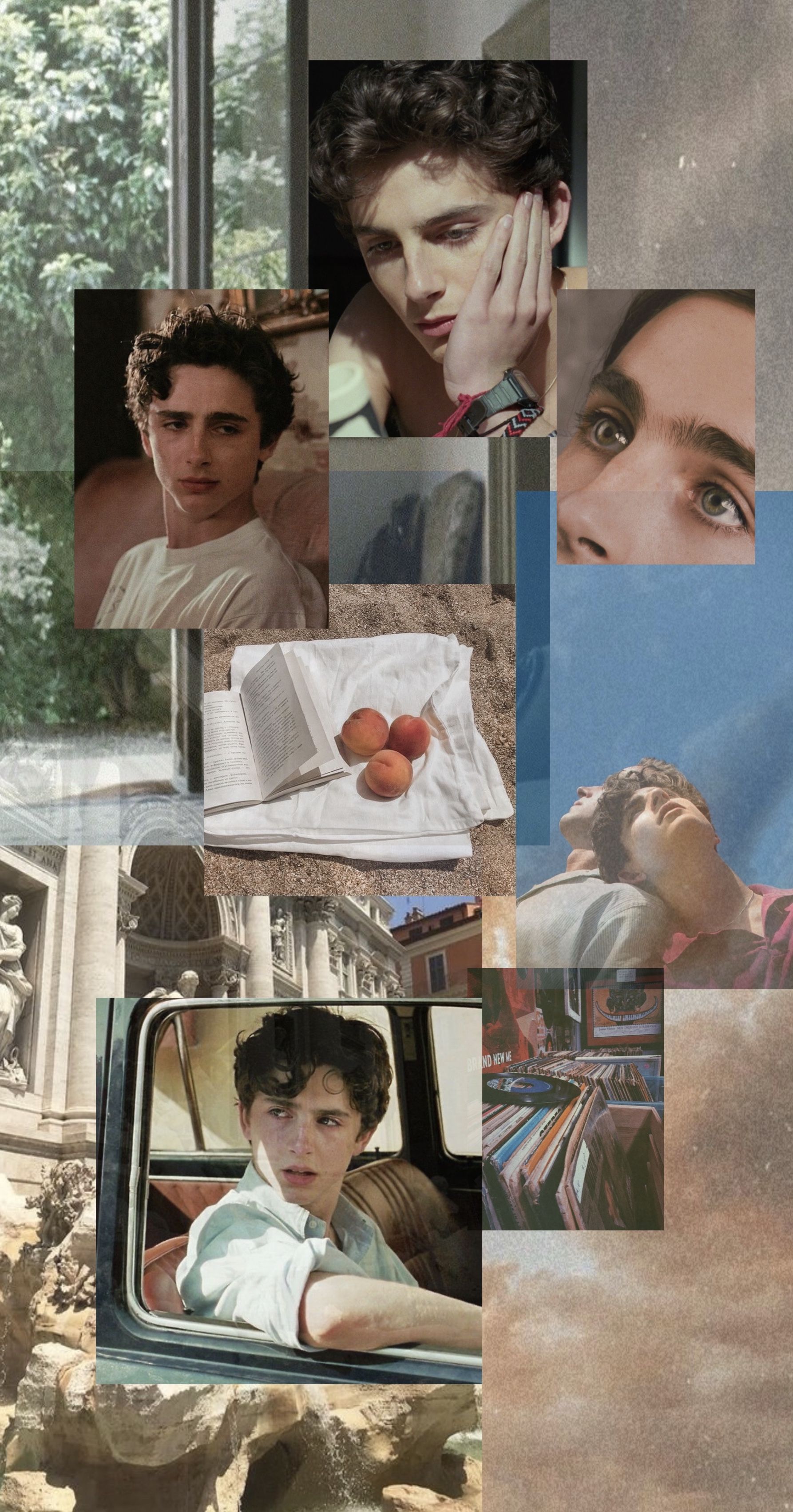 Timothe Chalamet Aesthetic Phone Wallpapers Wallpaper Cave