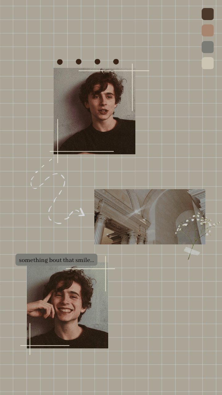 Timothe Chalamet Aesthetic Phone Wallpapers Wallpaper Cave