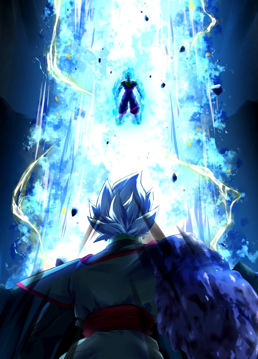 Vegito And Zamasu Wallpapers Wallpaper Cave