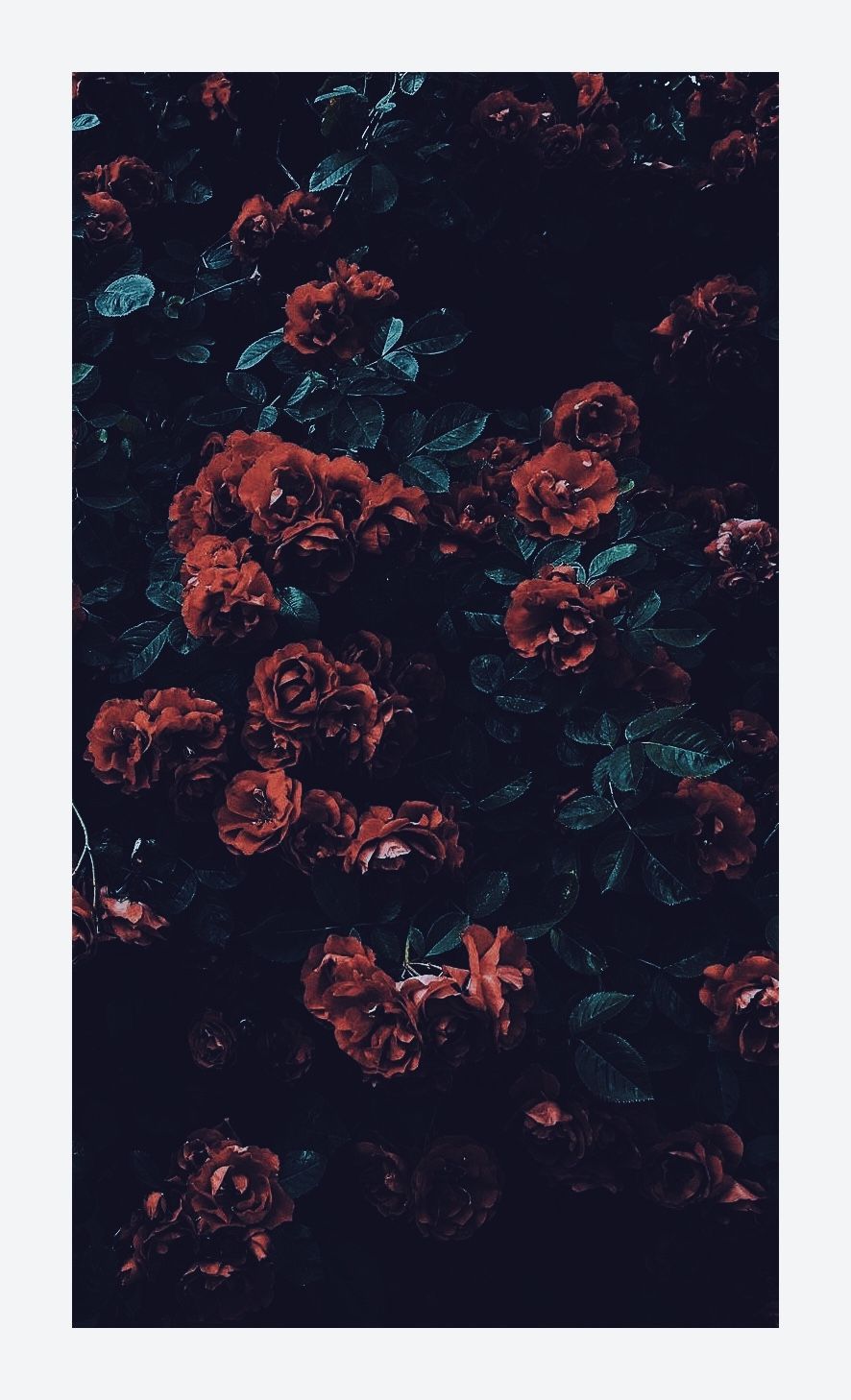 Red And Green Aesthetic Wallpapers Wallpaper Cave