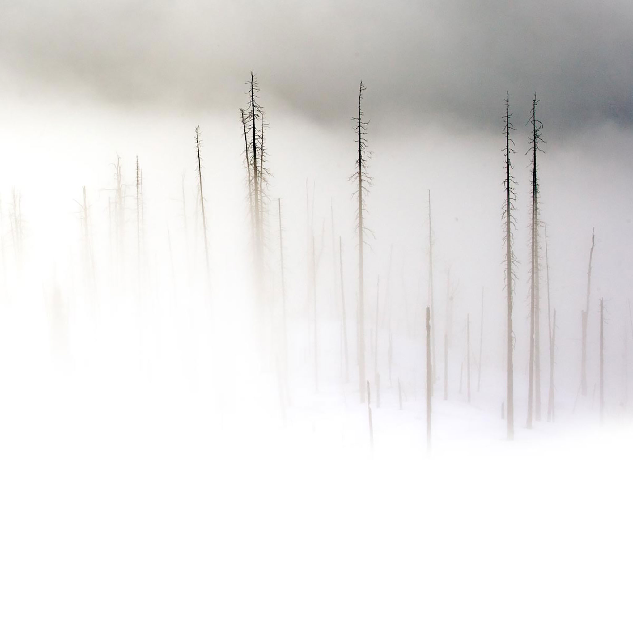 White iPad Wallpapers Wallpaper Cave