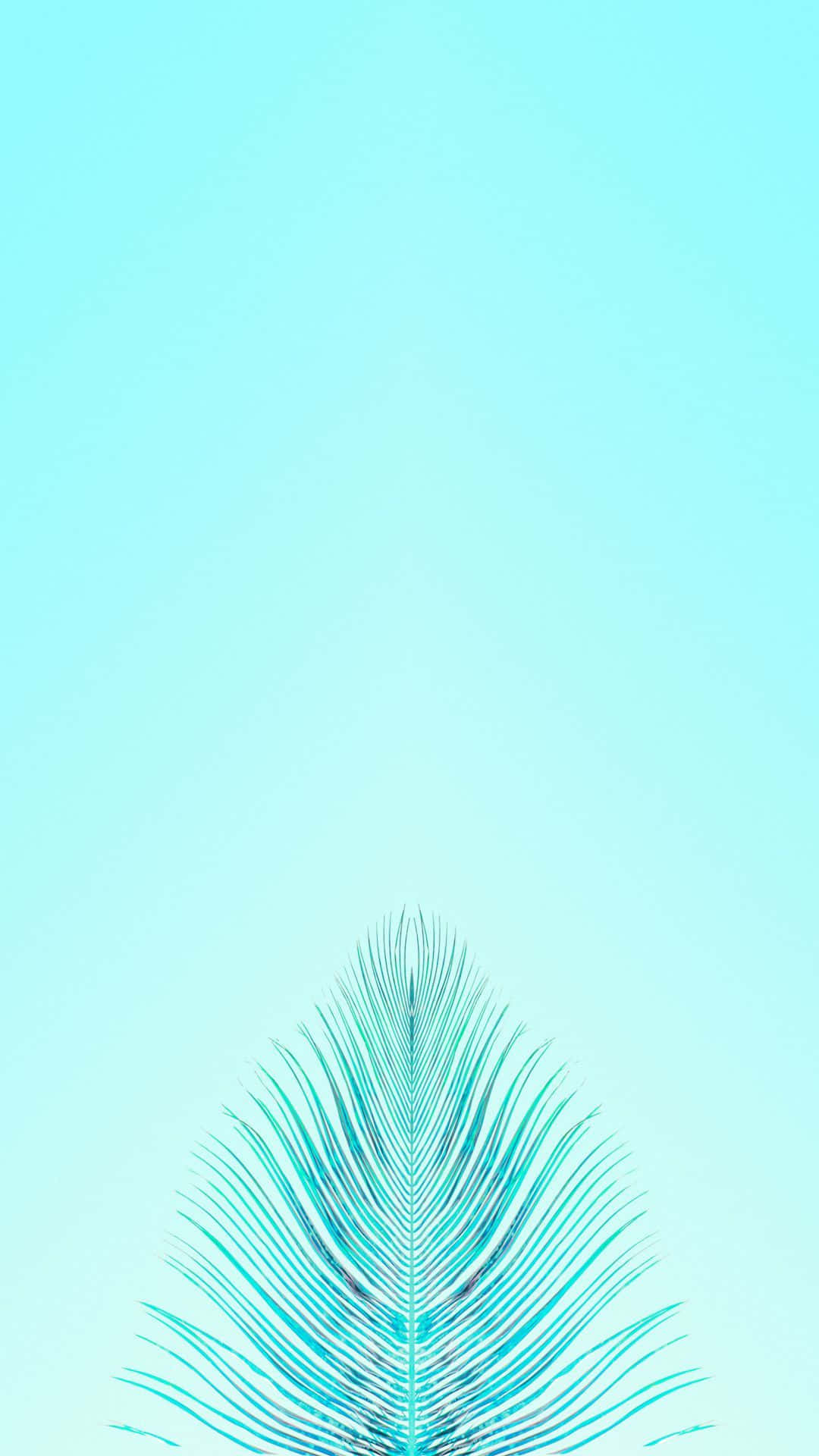 Turquoise iPhone Wallpapers Wallpaper Cave