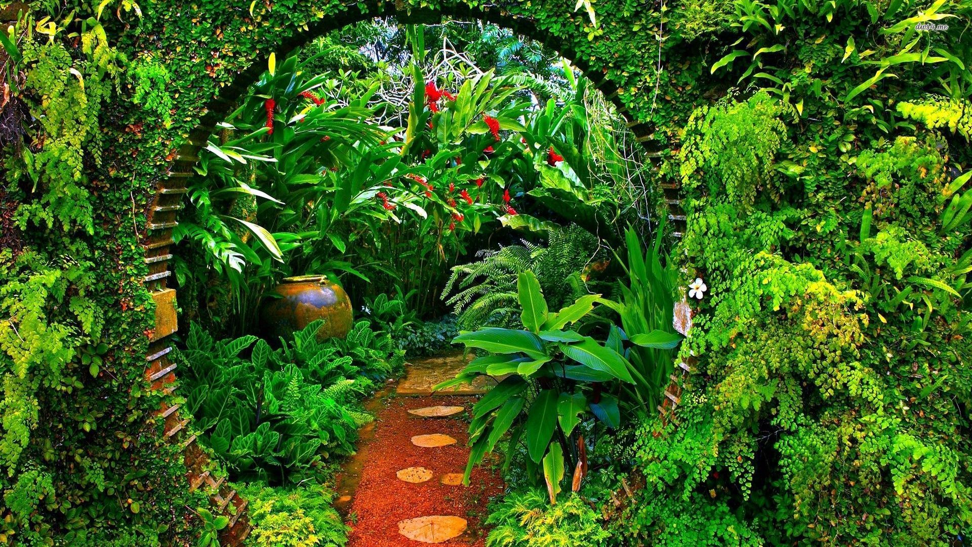 Tropical Garden Wallpapers Wallpaper Cave
