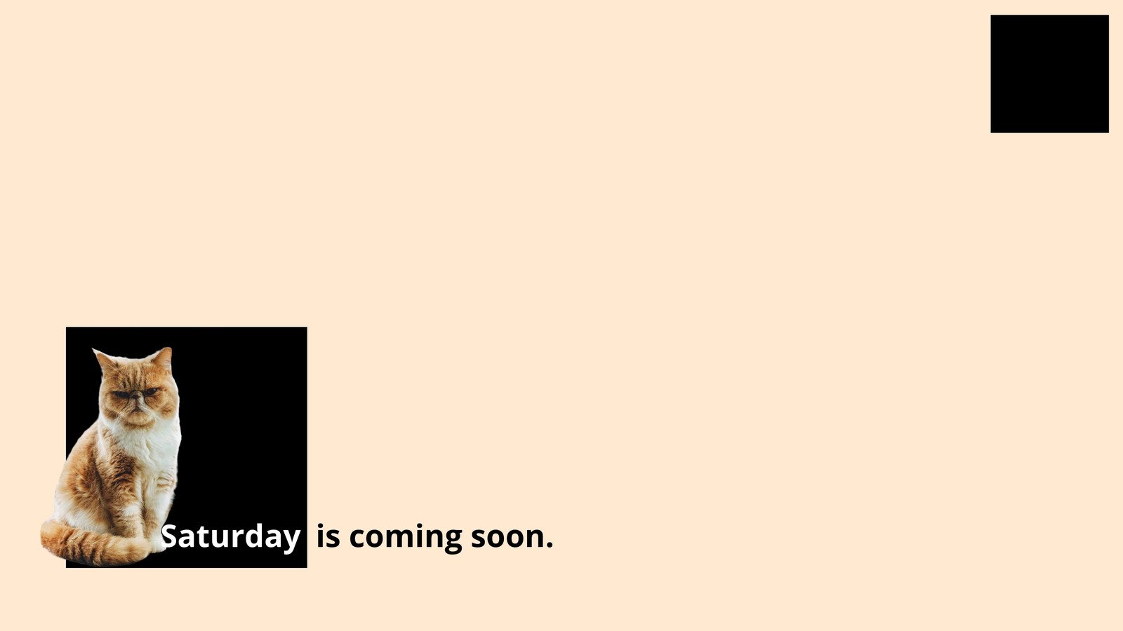 Funny Work Wallpapers Wallpaper Cave