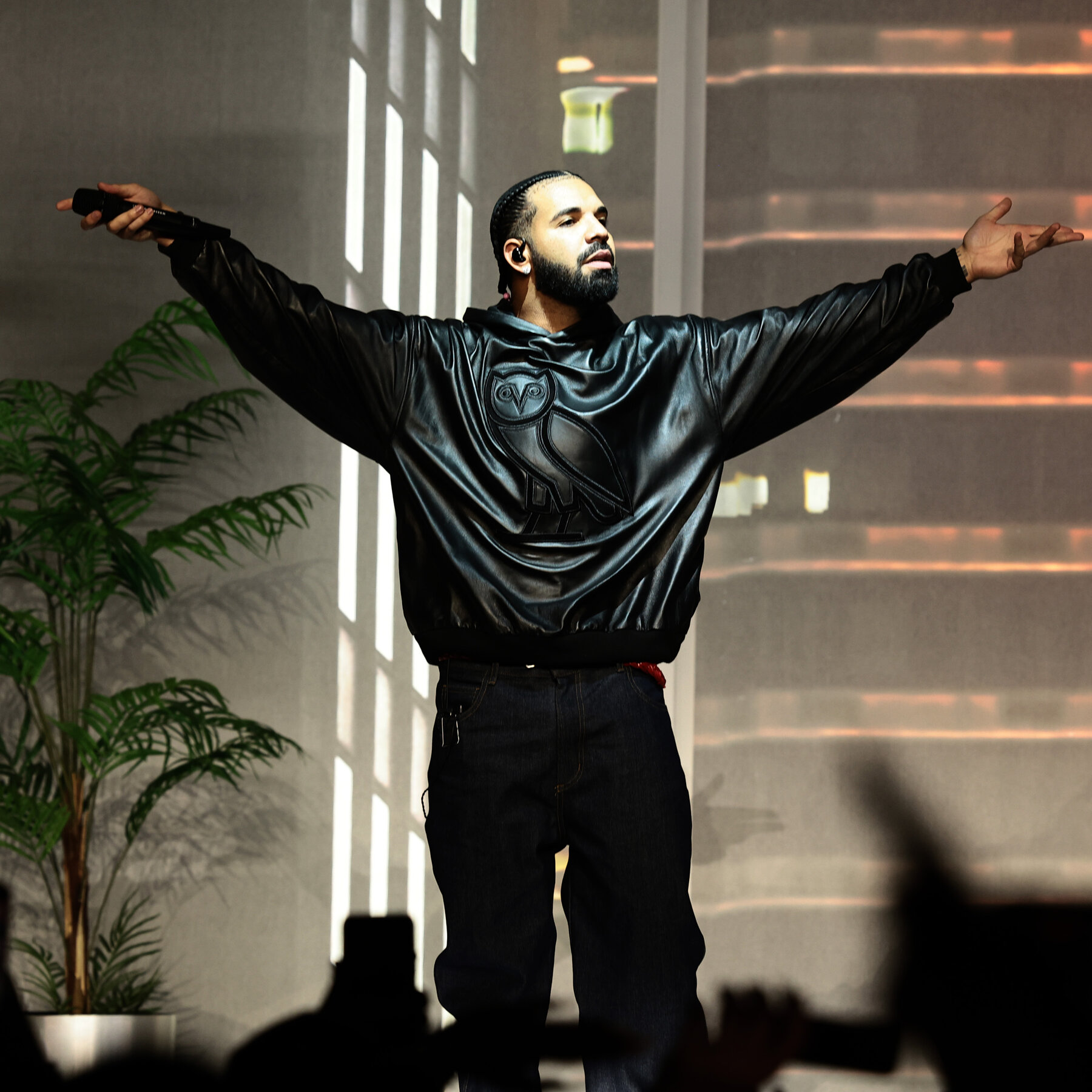 Papel De Parede Do Drake 2024