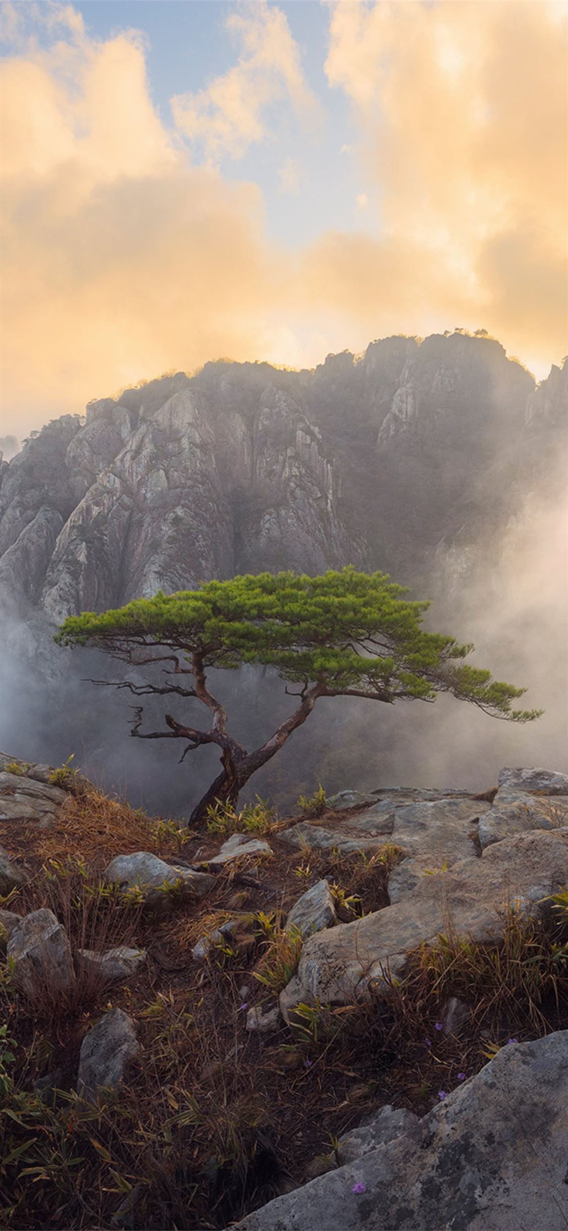 South Korea iPhone Wallpapers Wallpaper Cave