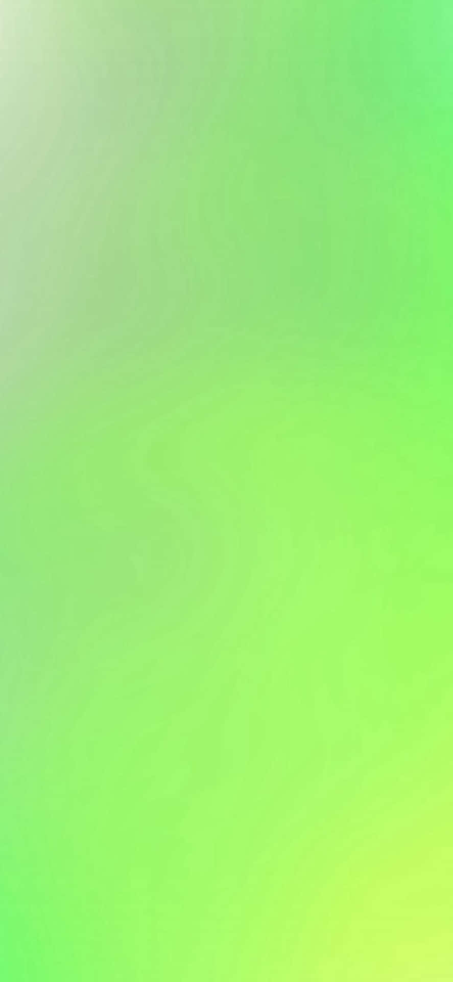 iPhone 11 Green Colour Wallpapers Wallpaper Cave