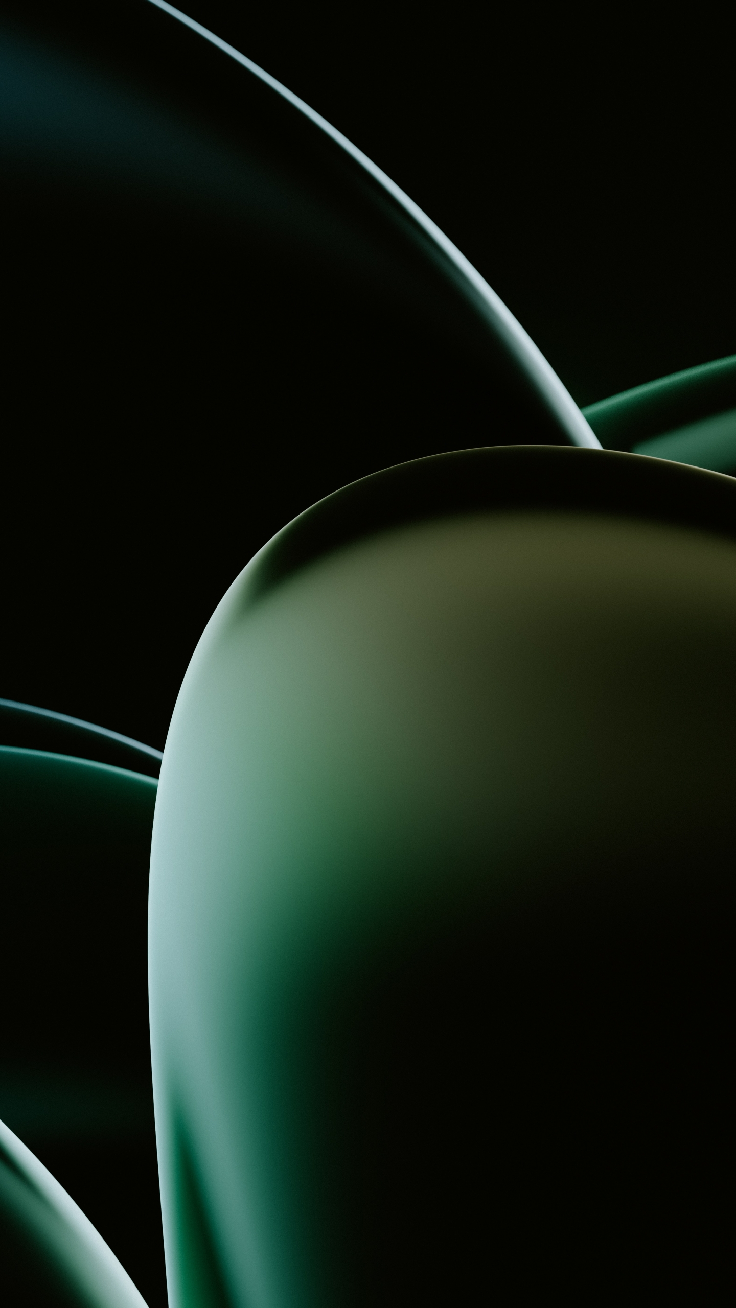 iPhone 11 Green Colour Wallpapers Wallpaper Cave