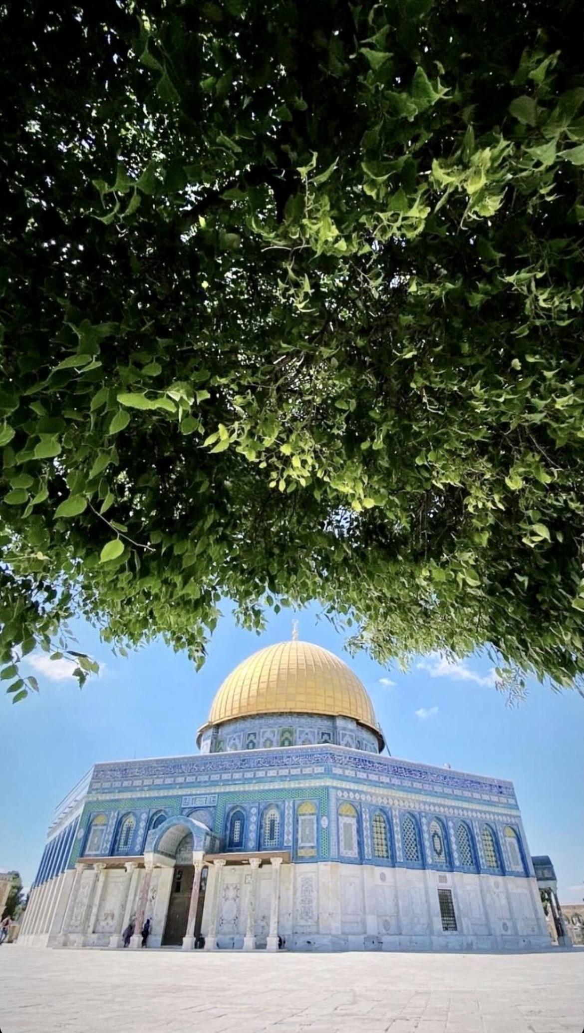 Free Palestine iPhone Wallpapers Wallpaper Cave