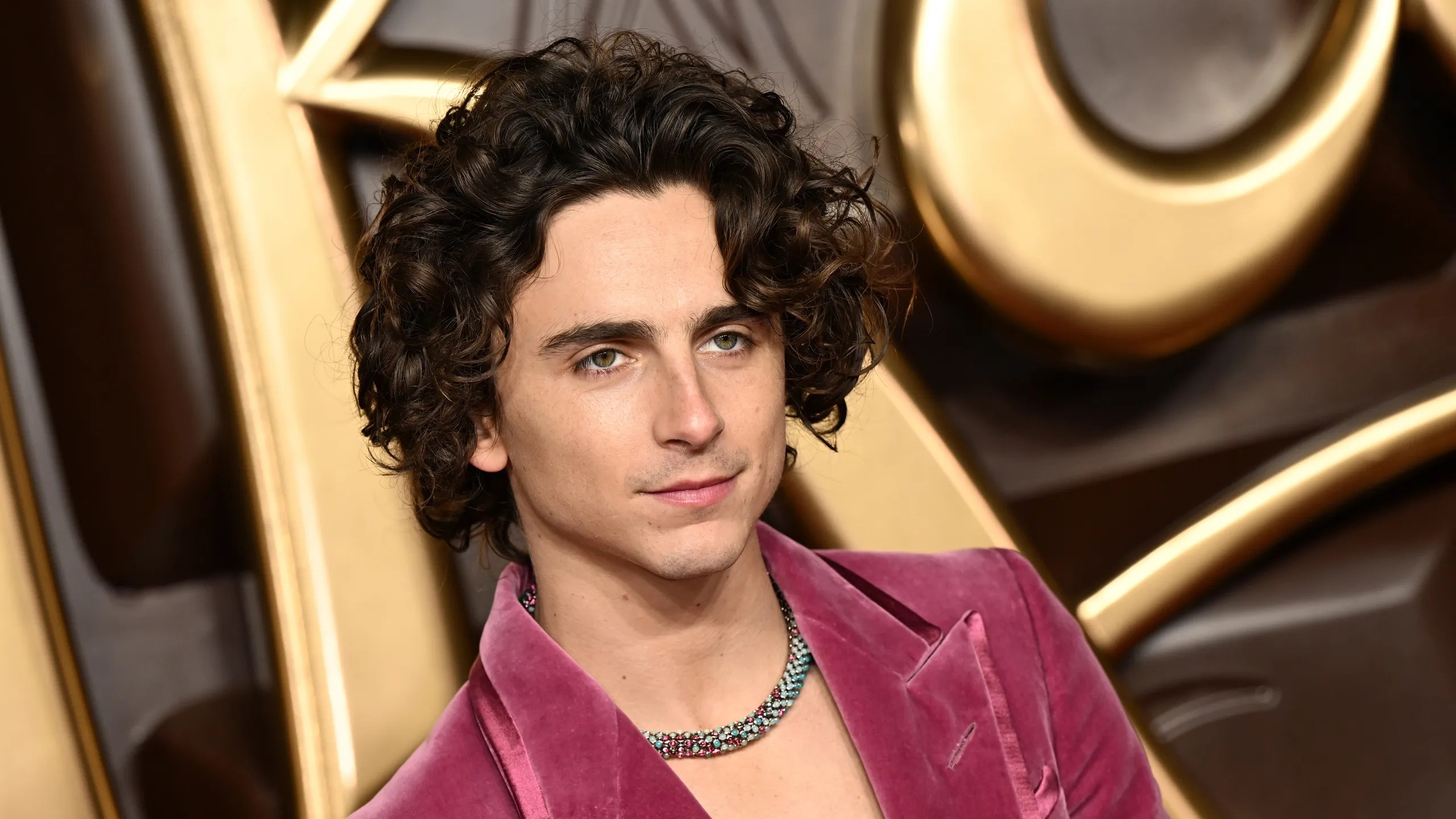 Timothe Chalamet 4k Wallpapers Wallpaper Cave