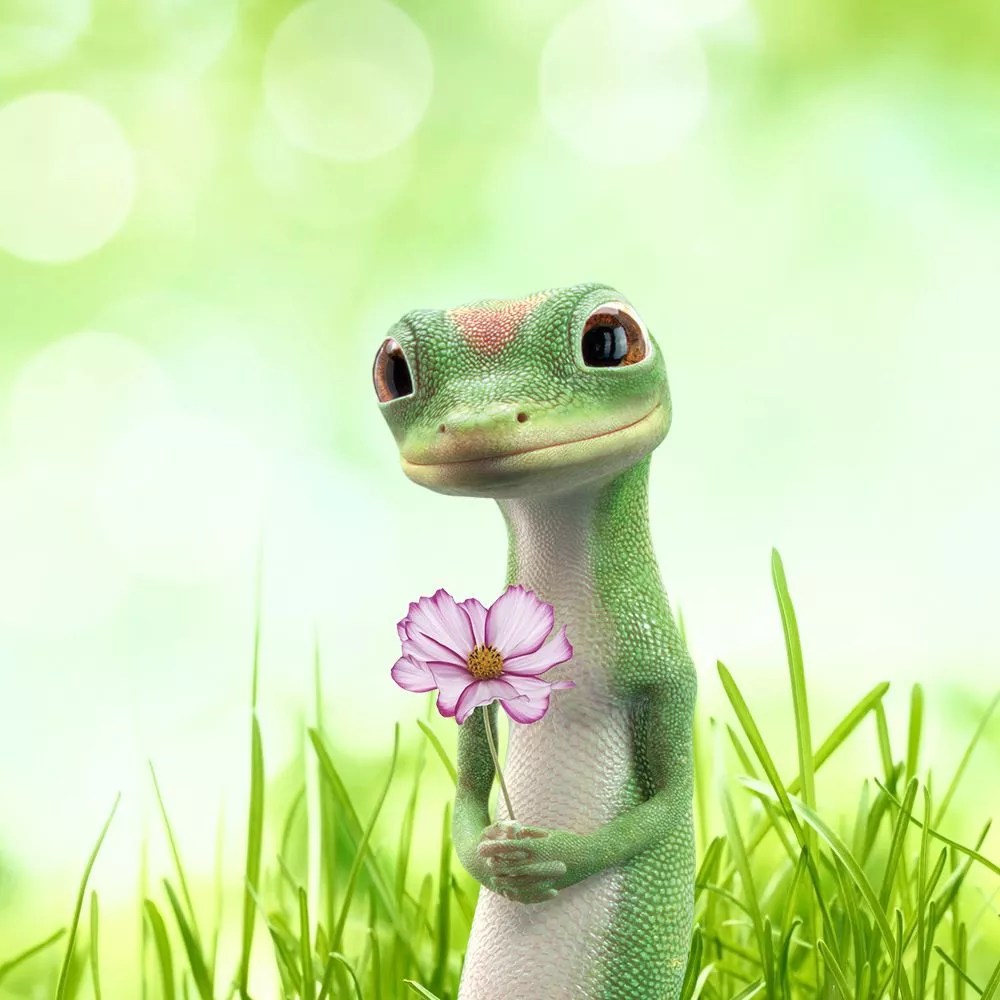 Geico Lizard Wallpapers Wallpaper Cave
