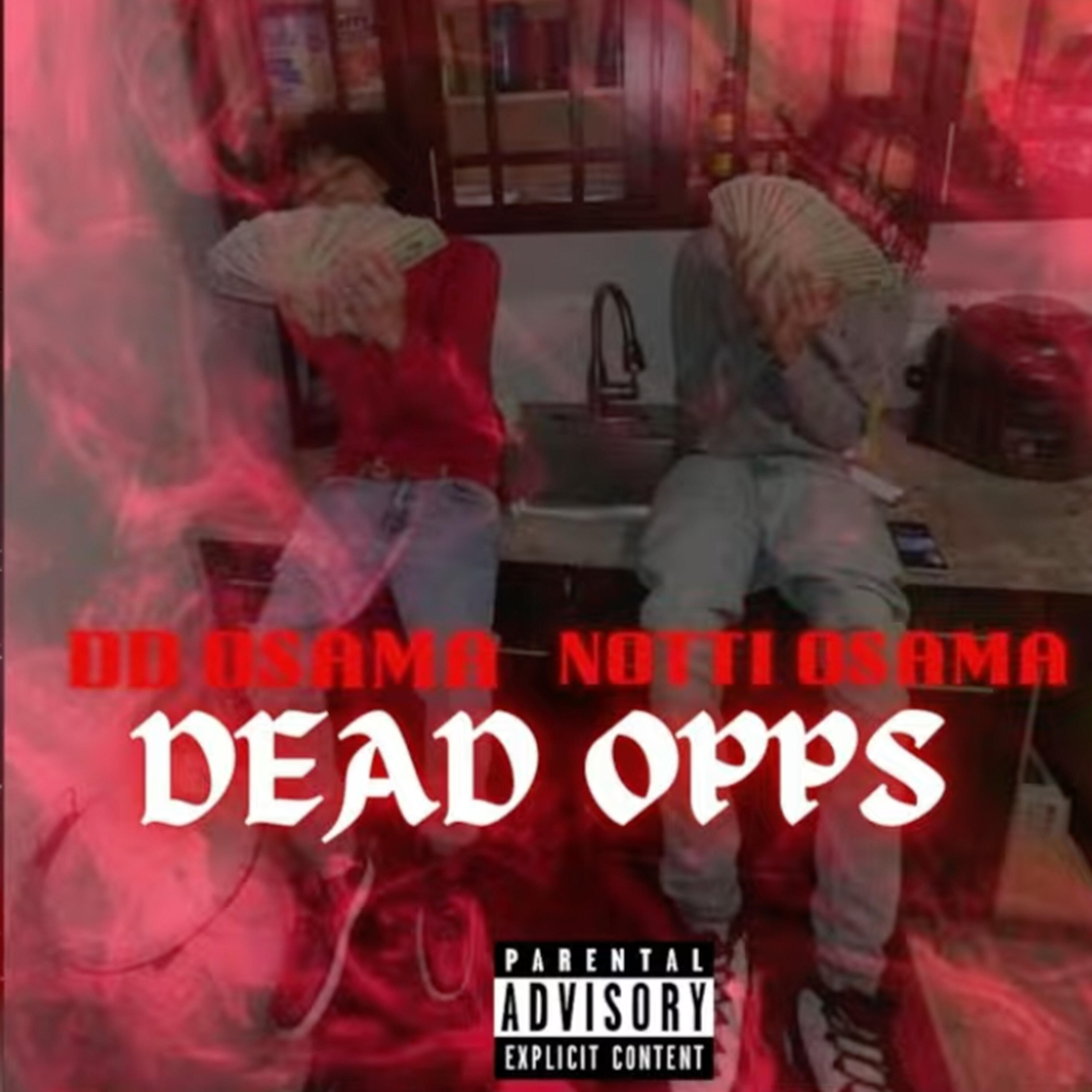 Notti Osama And DD Osama Wallpapers Wallpaper Cave(05)