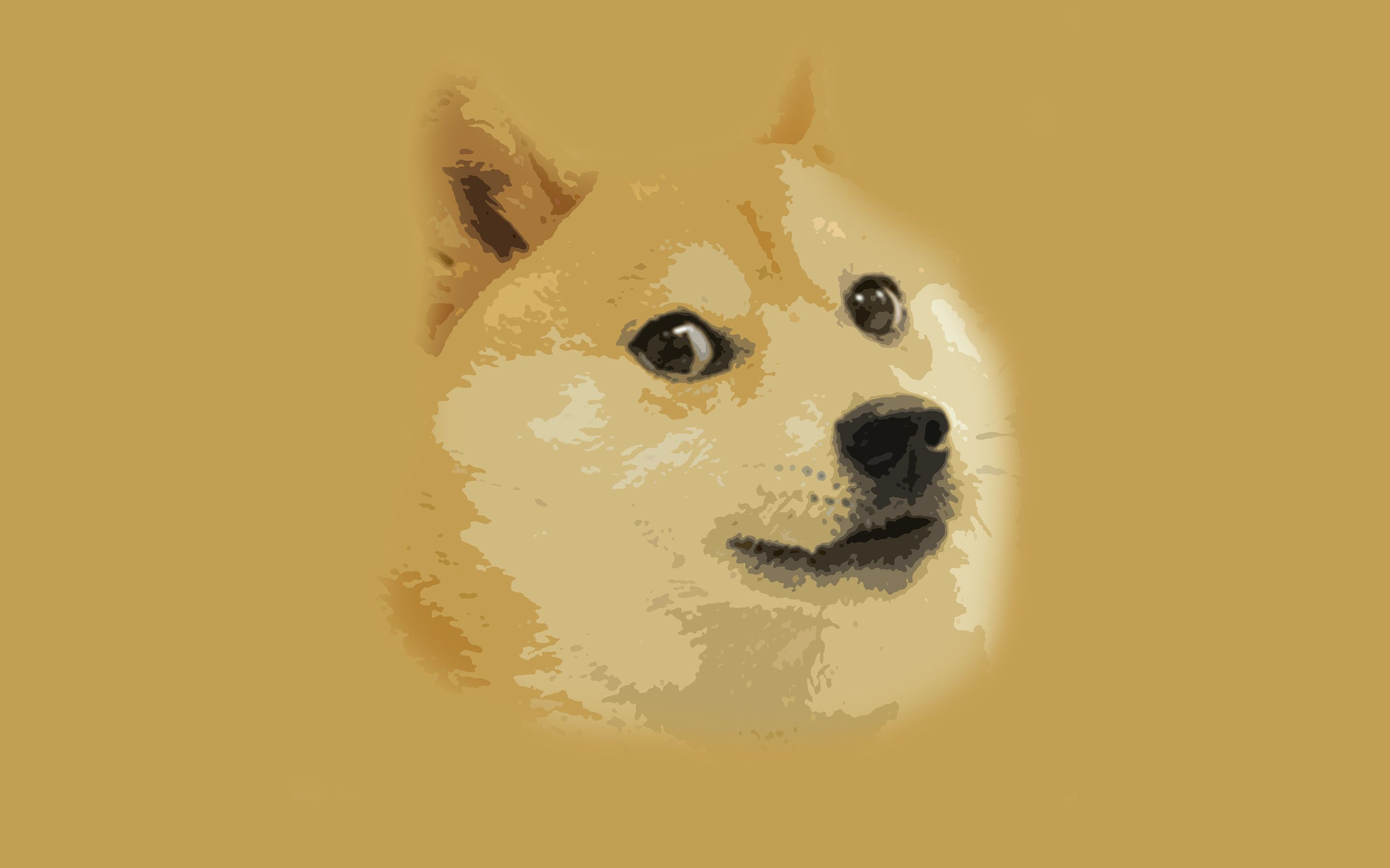 Doge Wallpapers Wallpaper Cave
