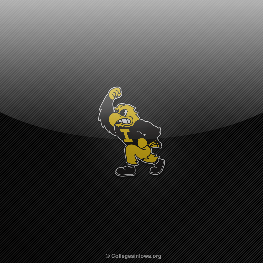Iowa Hawkeyes Wallpapers Wallpaper Cave