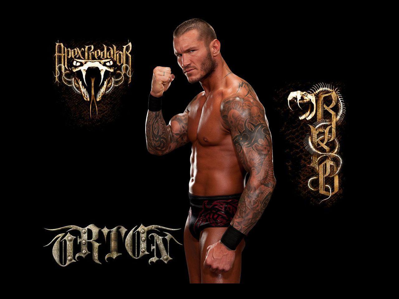 Randy Orton Wallpapers Wallpaper Cave