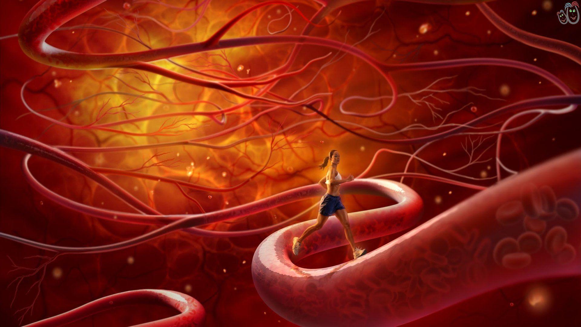 Health Wallpapers Wallpaper Cave