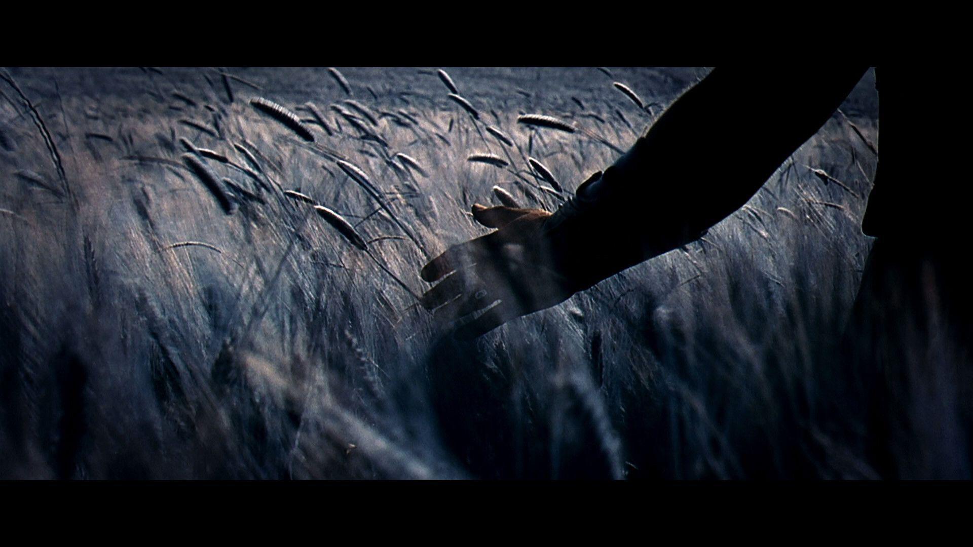 Gladiator Wallpapers Wallpaper Cave