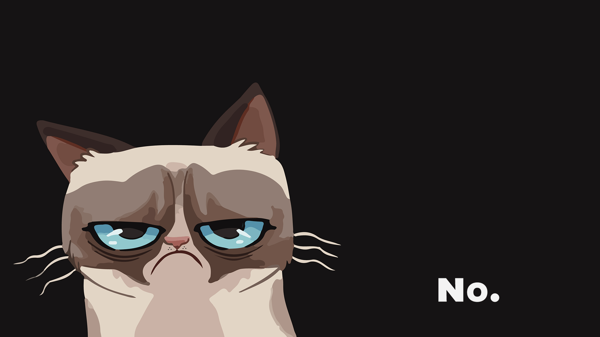 Grumpy Cat Wallpapers Wallpaper Cave