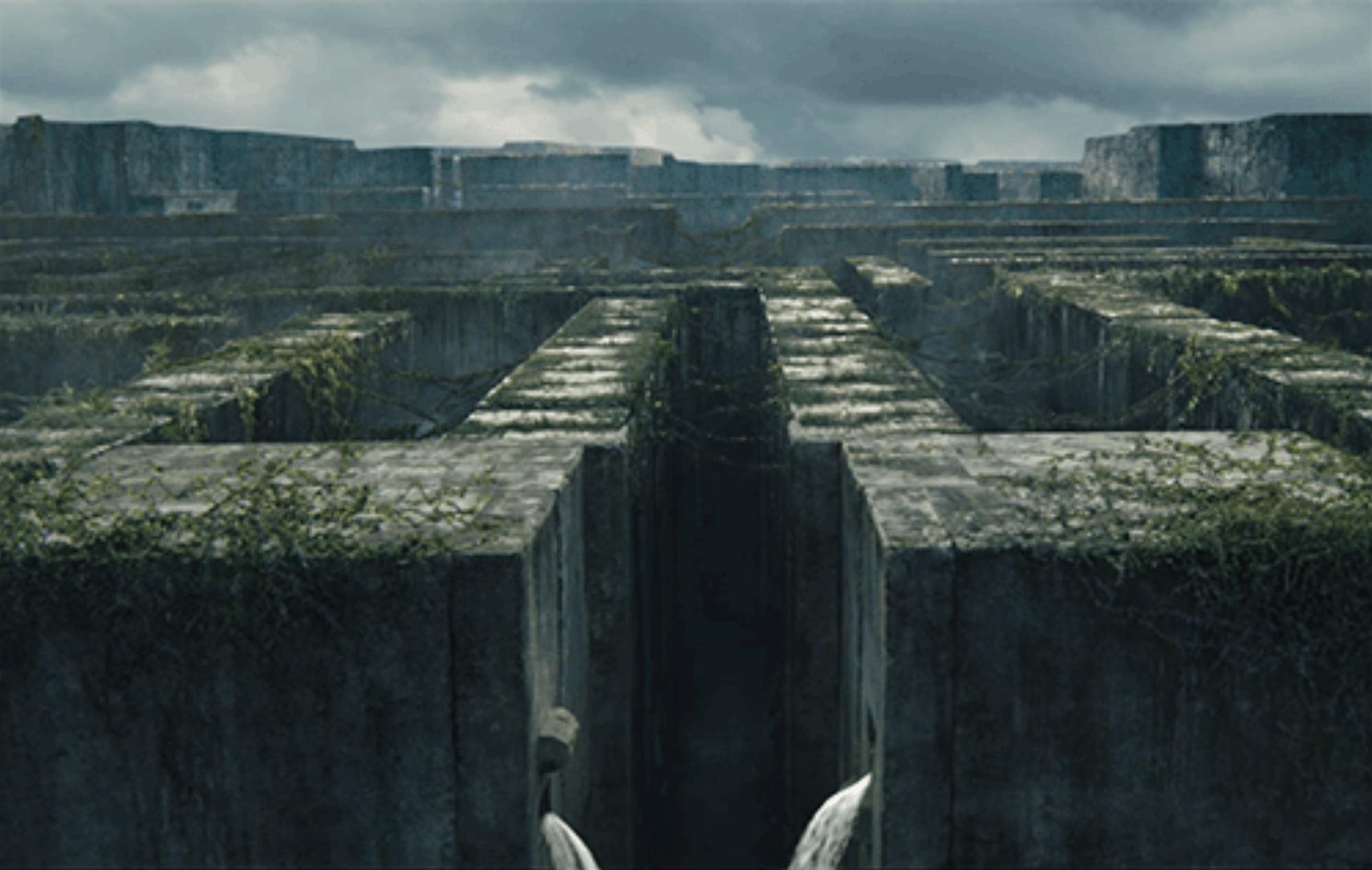 The Maze Runner Wallpapers Wallpaper Cave