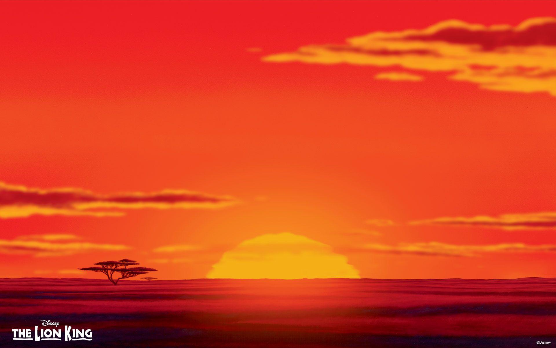 The Lion King Wallpapers Wallpaper Cave