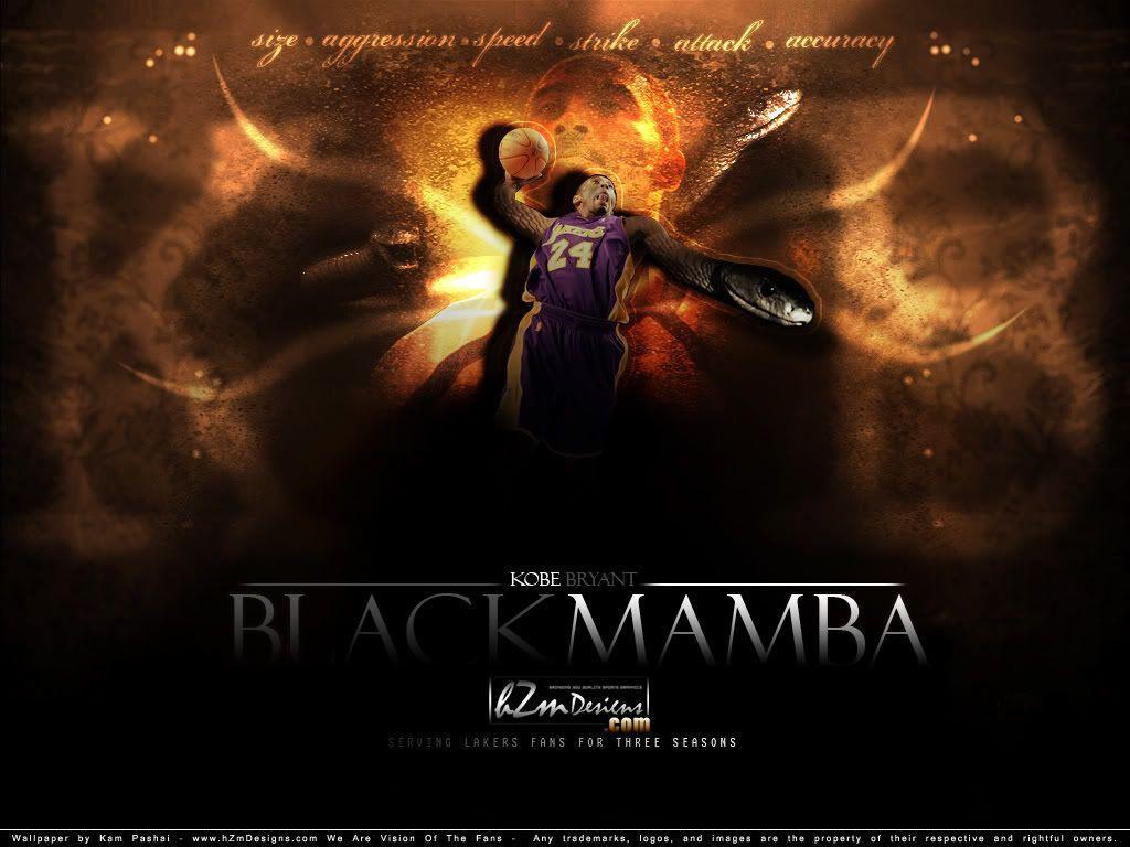 Black Mamba Wallpapers Wallpaper Cave