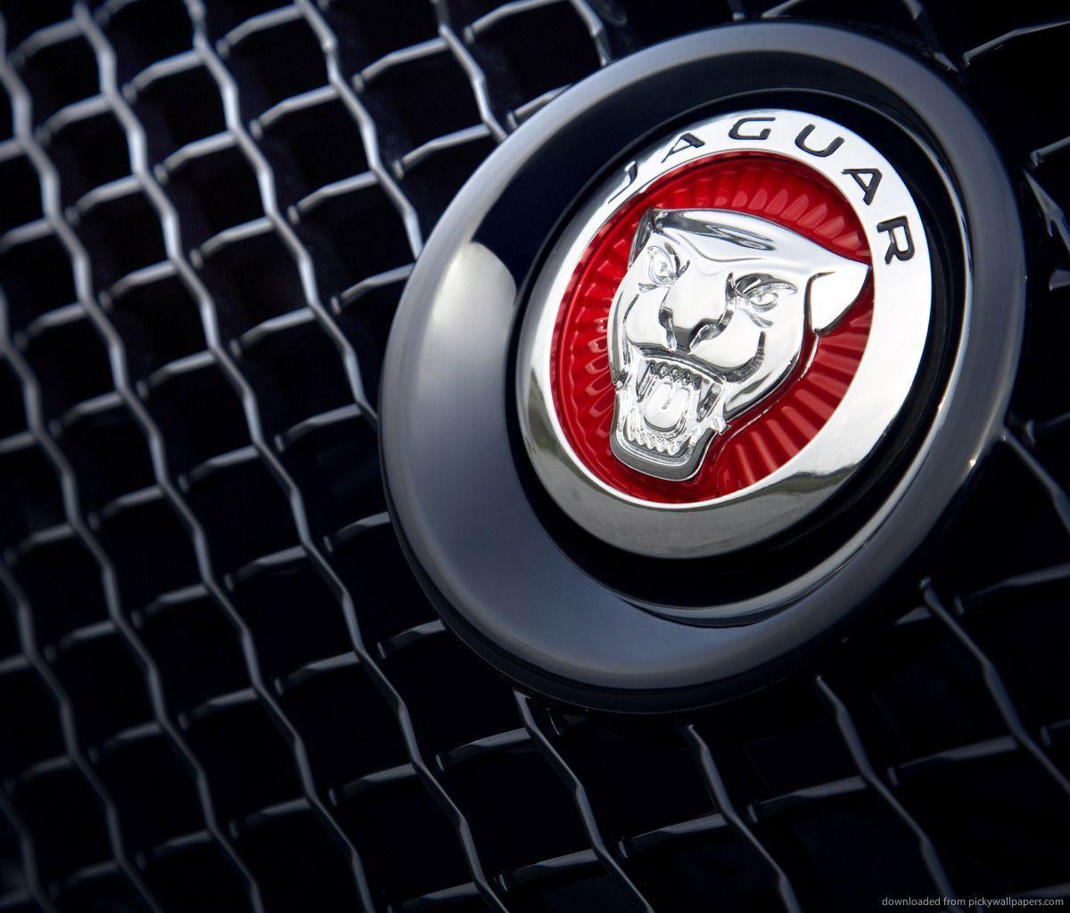 Jaguar Logo Wallpapers Wallpaper Cave