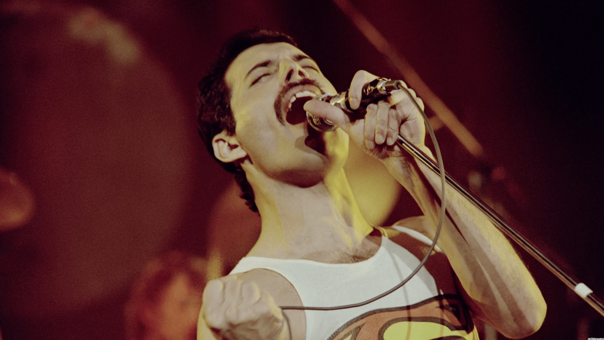 Freddie Mercury Wallpapers Wallpaper Cave