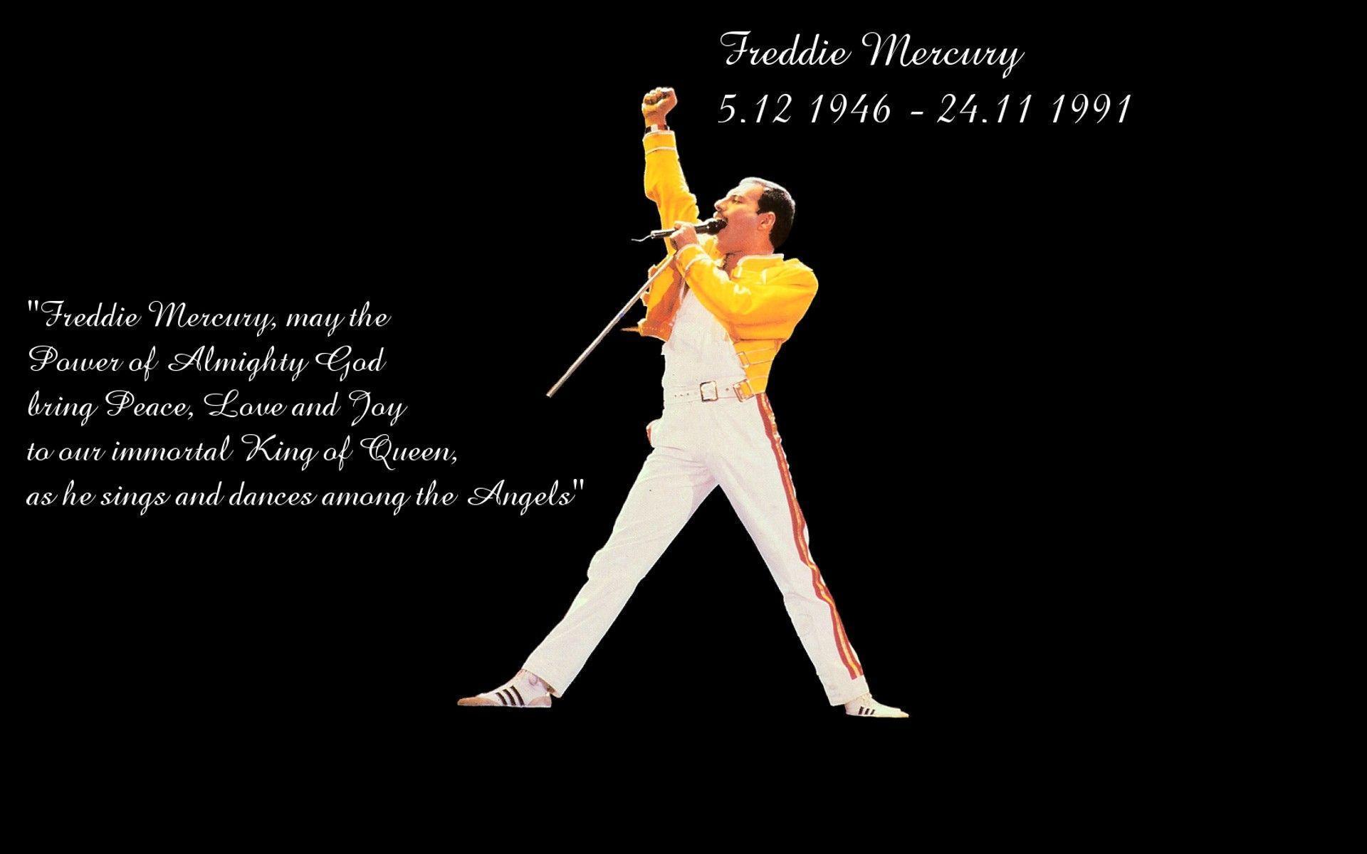 Freddie Mercury Wallpapers Wallpaper Cave