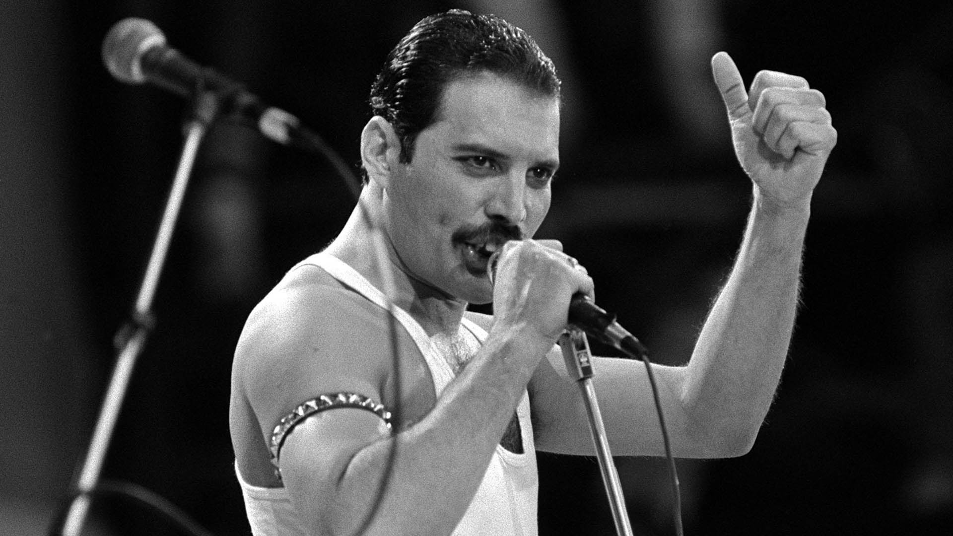 Freddie Mercury Wallpapers Wallpaper Cave