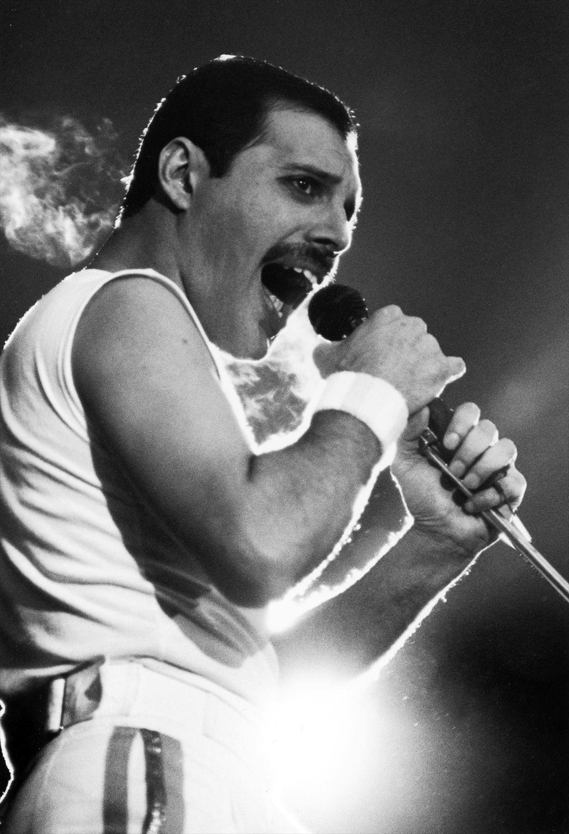 Freddie Mercury Wallpapers Wallpaper Cave