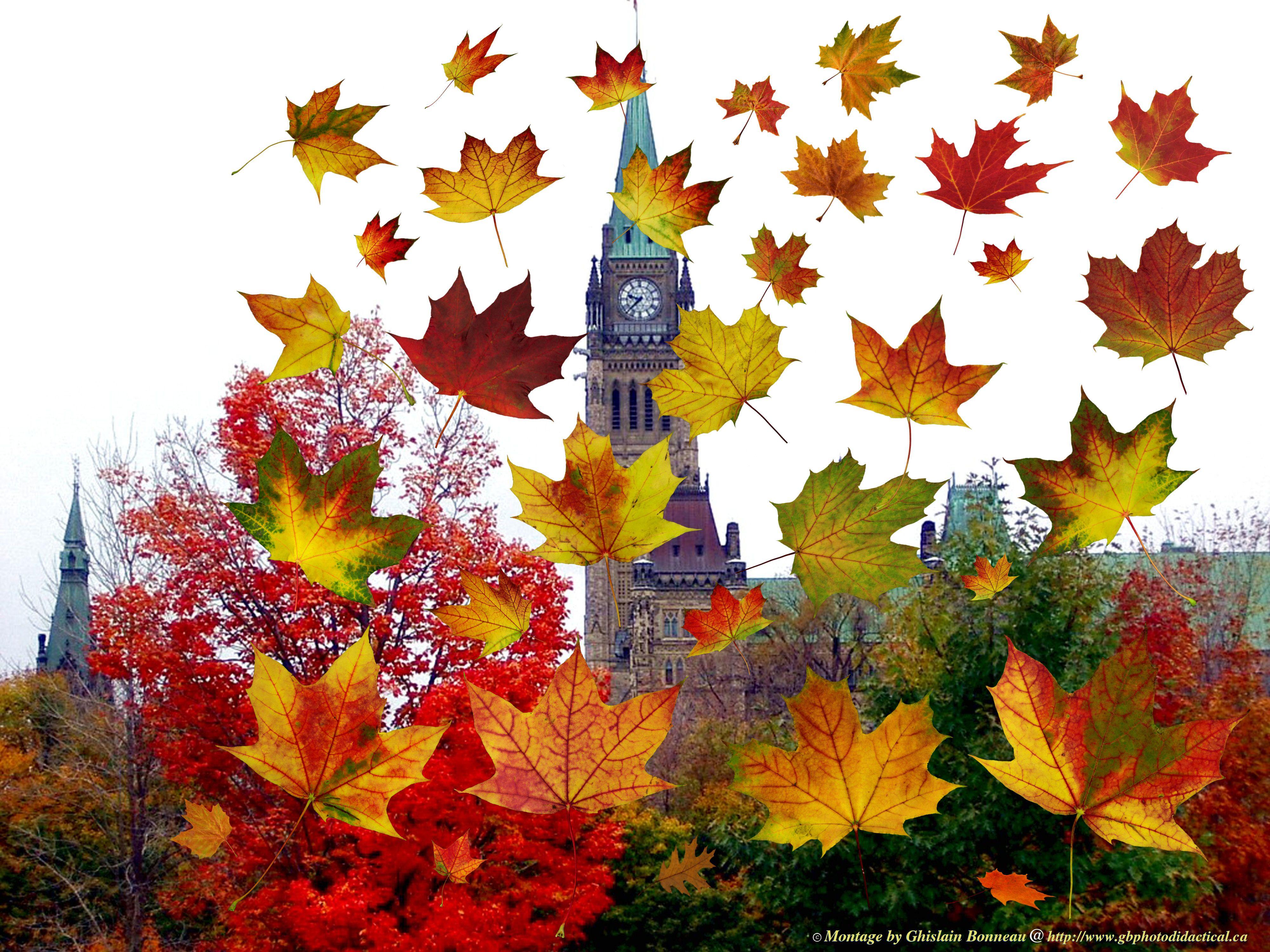 Ottawa Wallpapers Wallpaper Cave