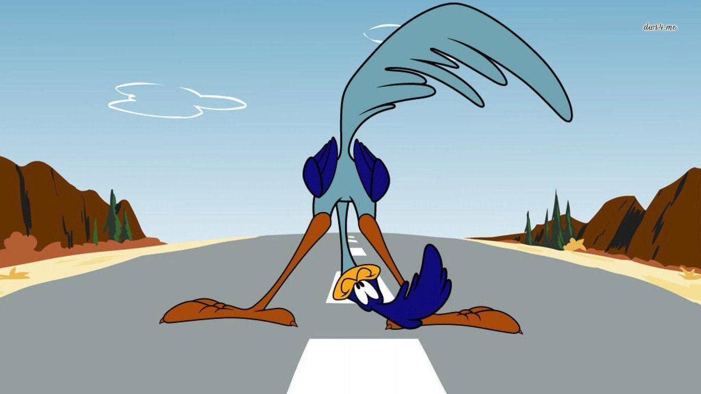 Road Runner Wallpapers Wallpaper Cave