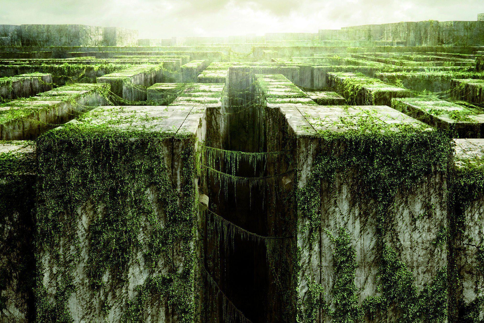 The Maze Runner Wallpapers Wallpaper Cave