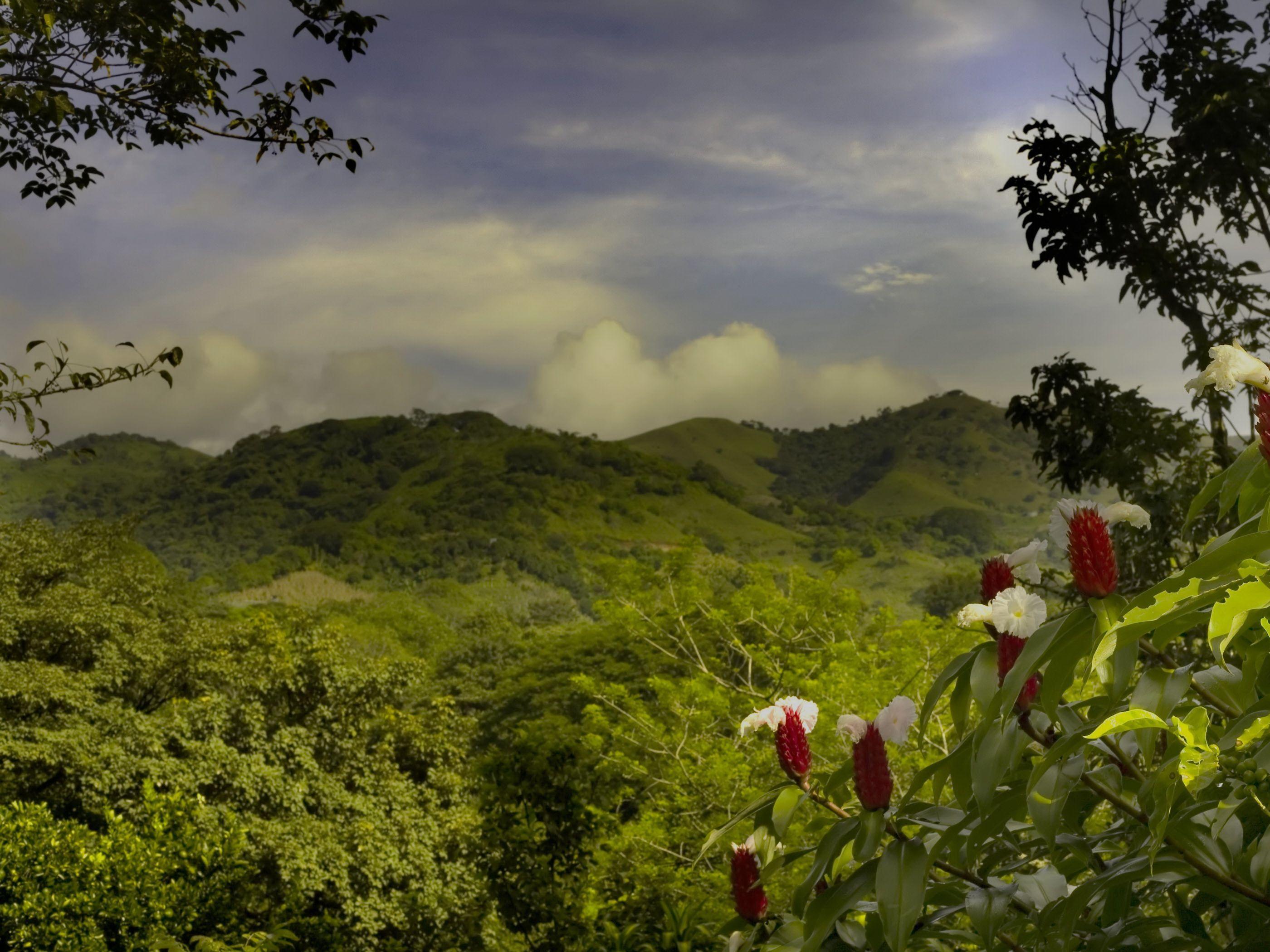 Costa Rica Wallpapers Wallpaper Cave