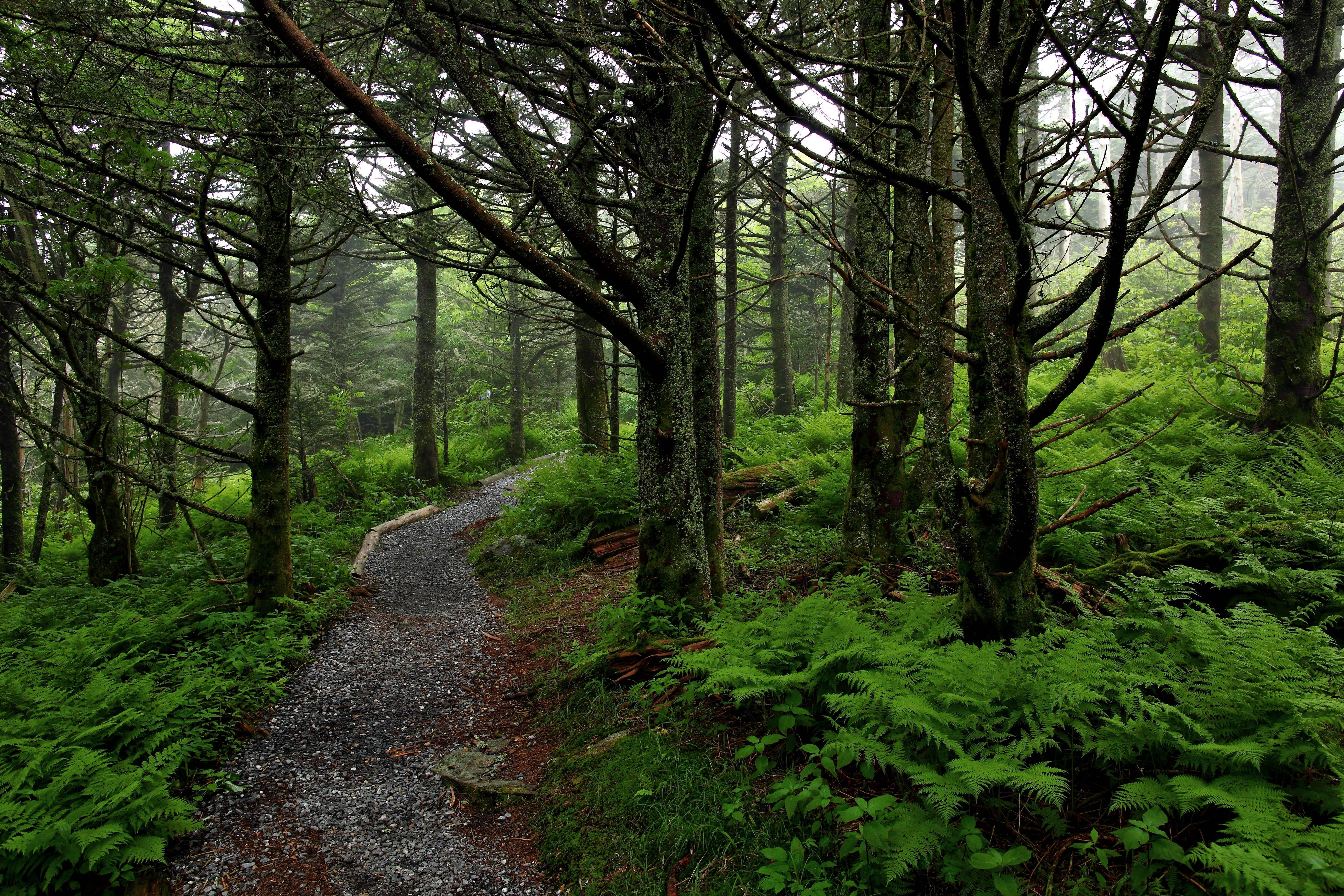 Trail Wallpapers Wallpaper Cave