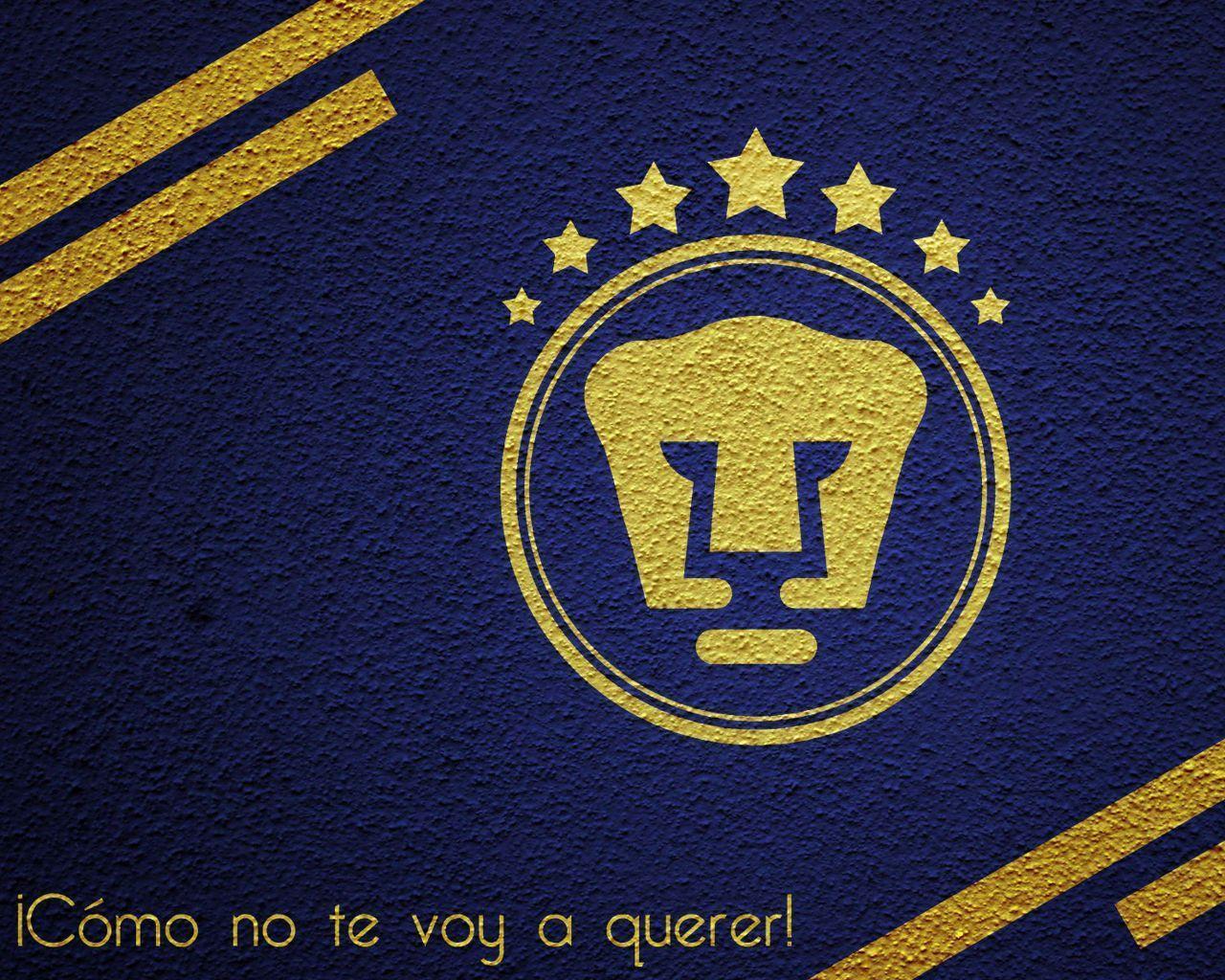 Pumas Wallpapers Wallpaper Cave