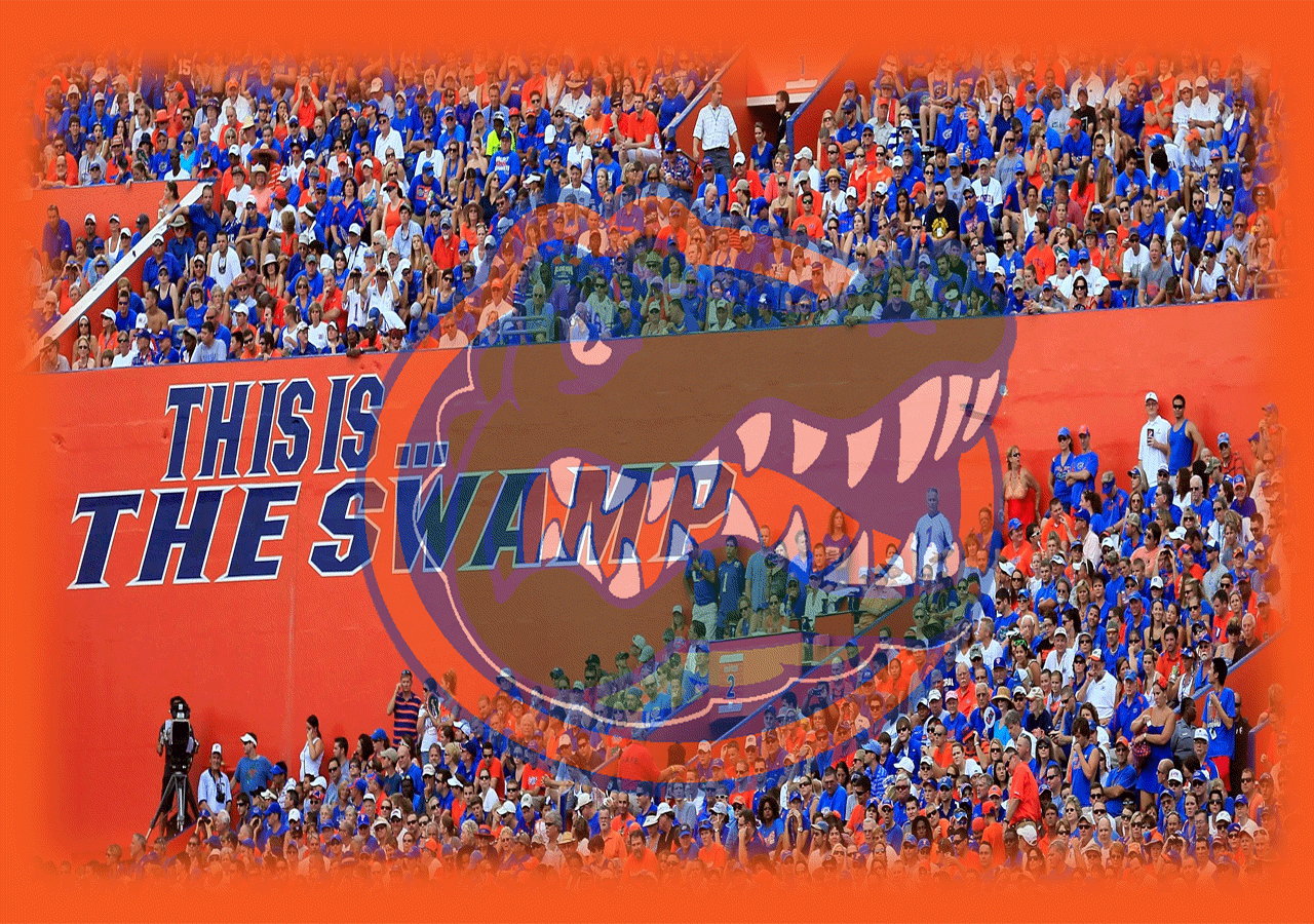 Florida Gators Football Wallpapers Wallpaper Cave
