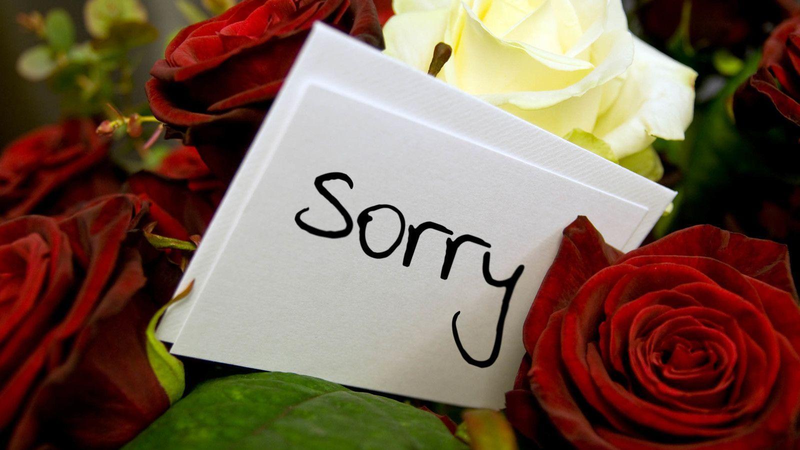 Sorry Wallpapers Wallpaper Cave