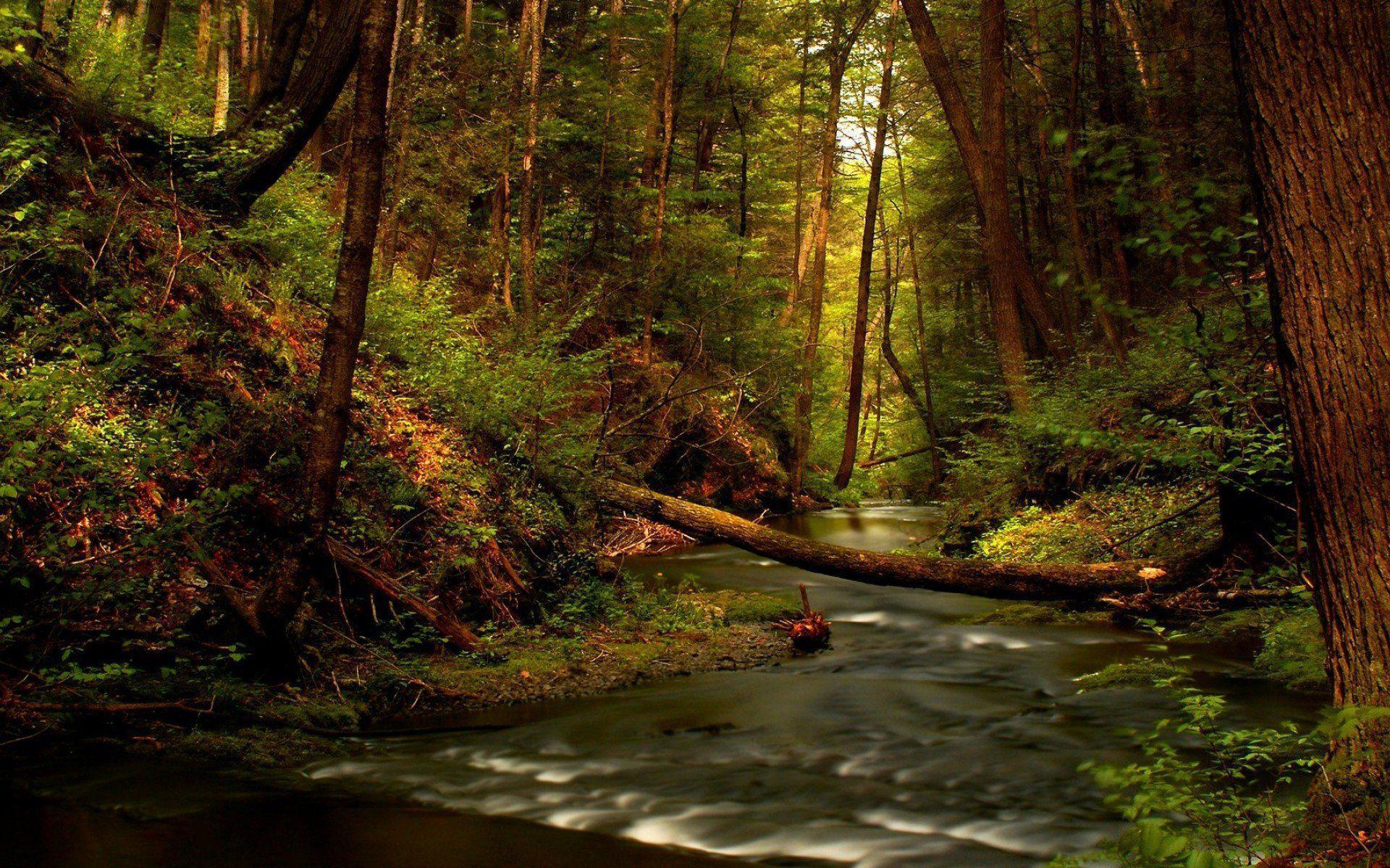 Outdoors Wallpapers Wallpaper Cave