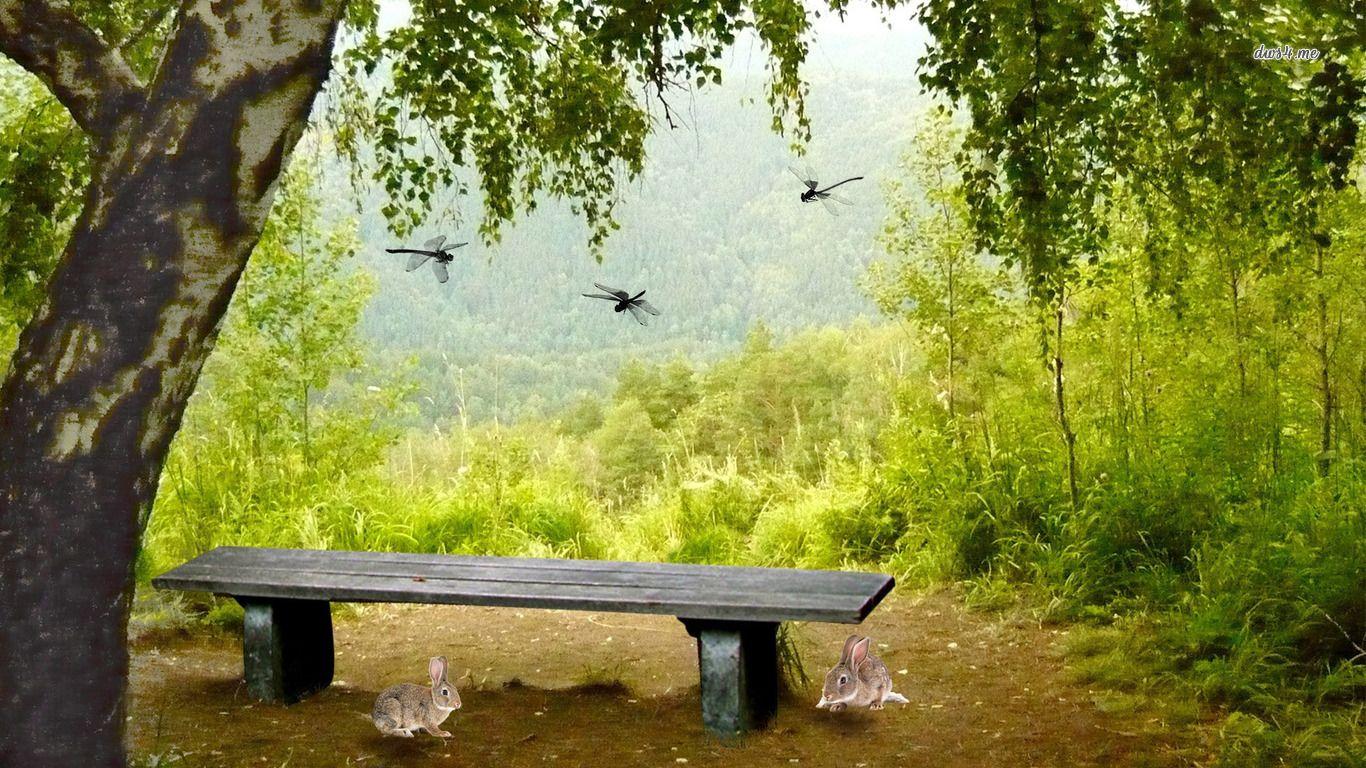 Bench Wallpapers Wallpaper Cave