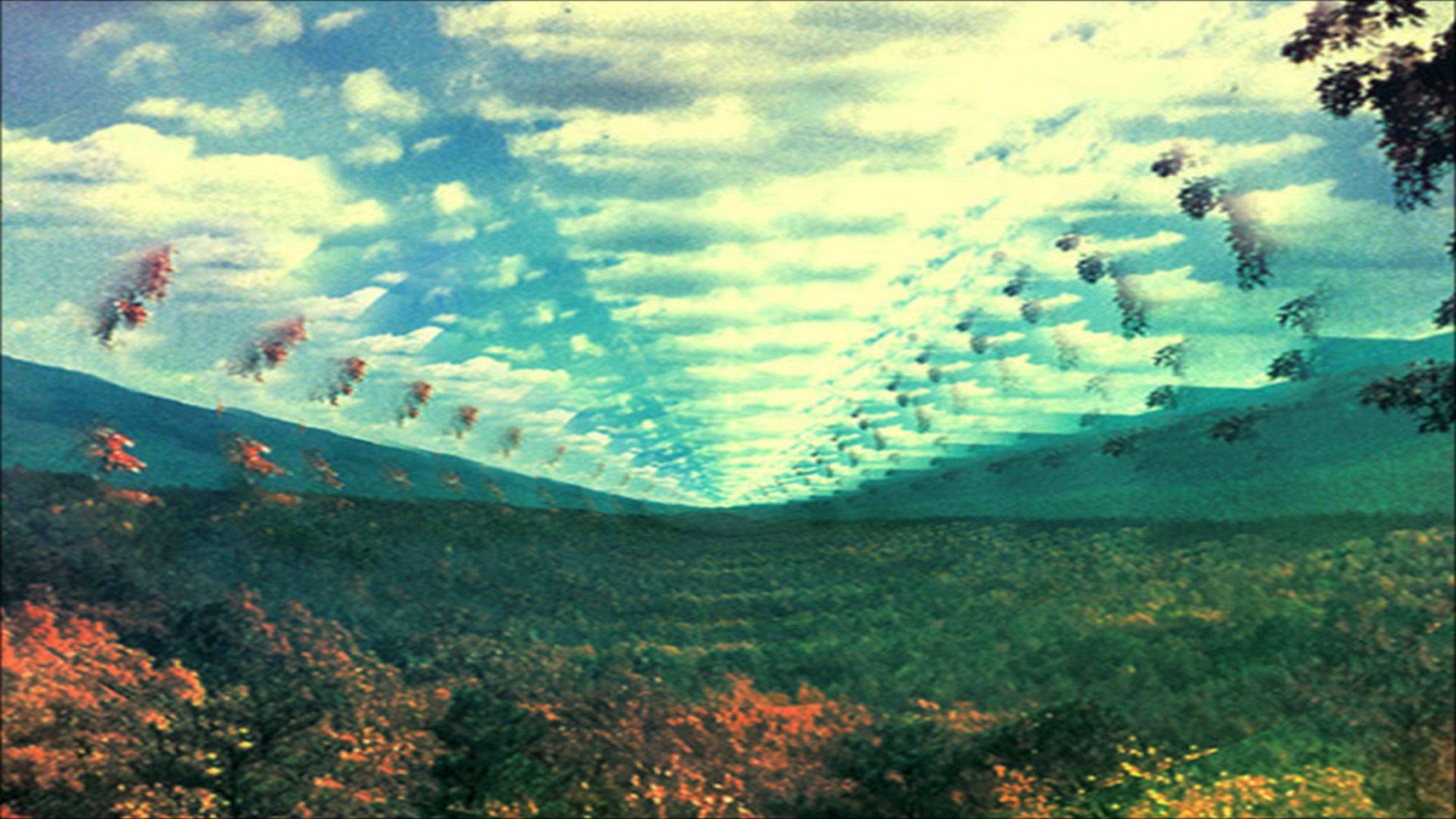 Tame Impala Wallpapers Wallpaper Cave