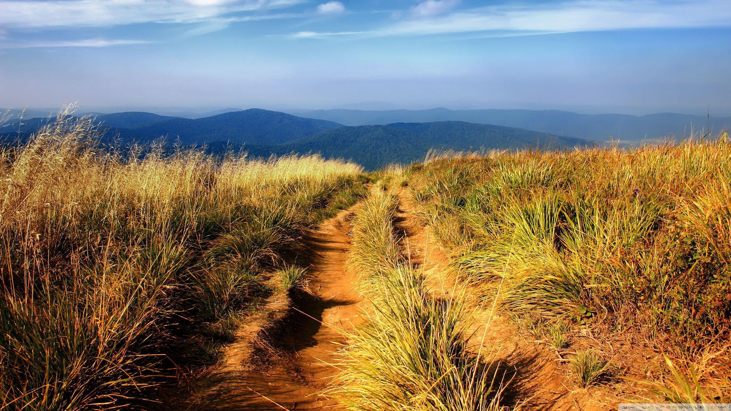 Hiking Wallpapers Wallpaper Cave