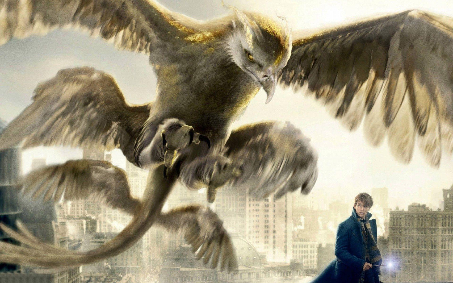 Fantastic Beasts Wallpapers Wallpaper Cave