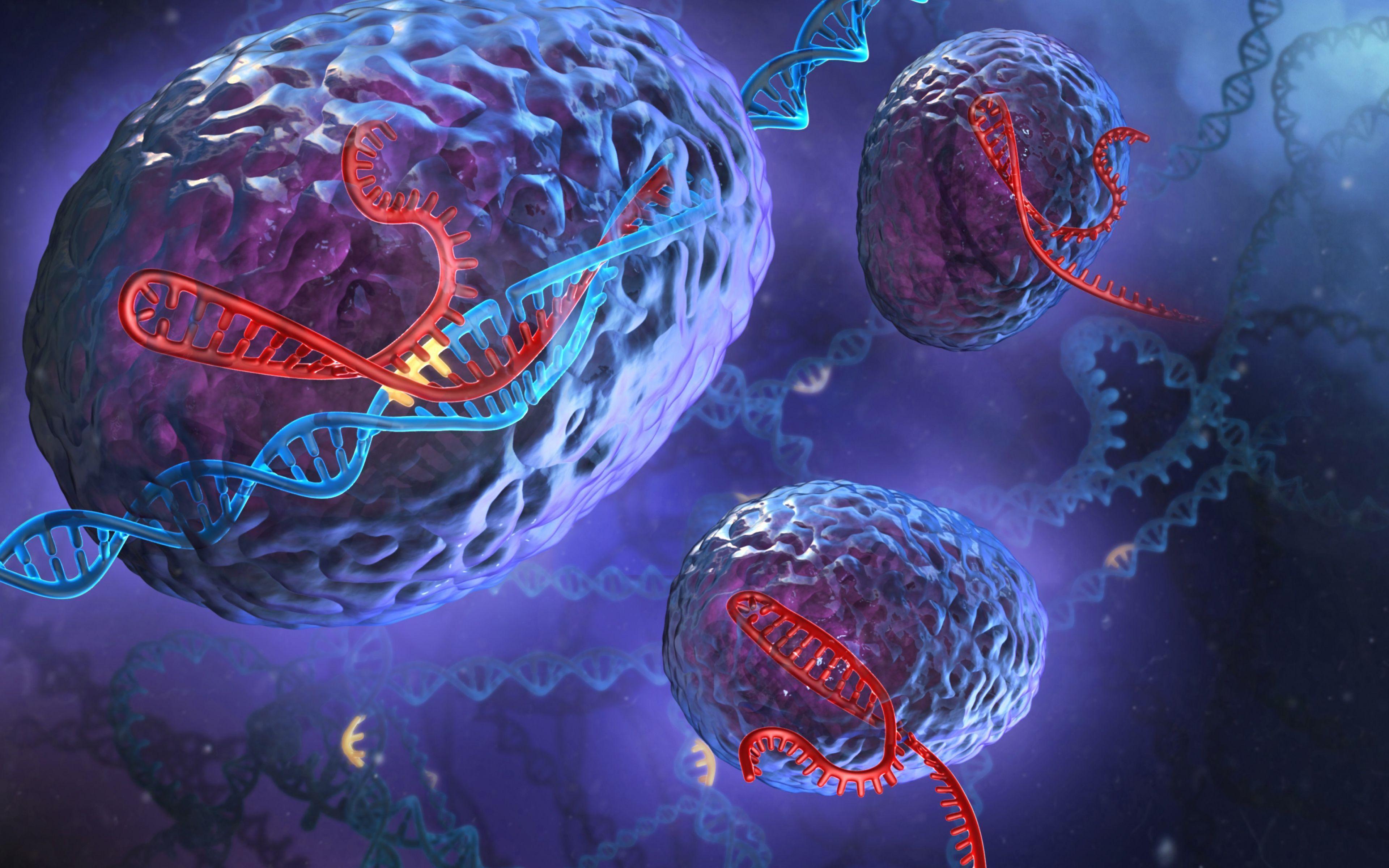 Cells Wallpapers Wallpaper Cave