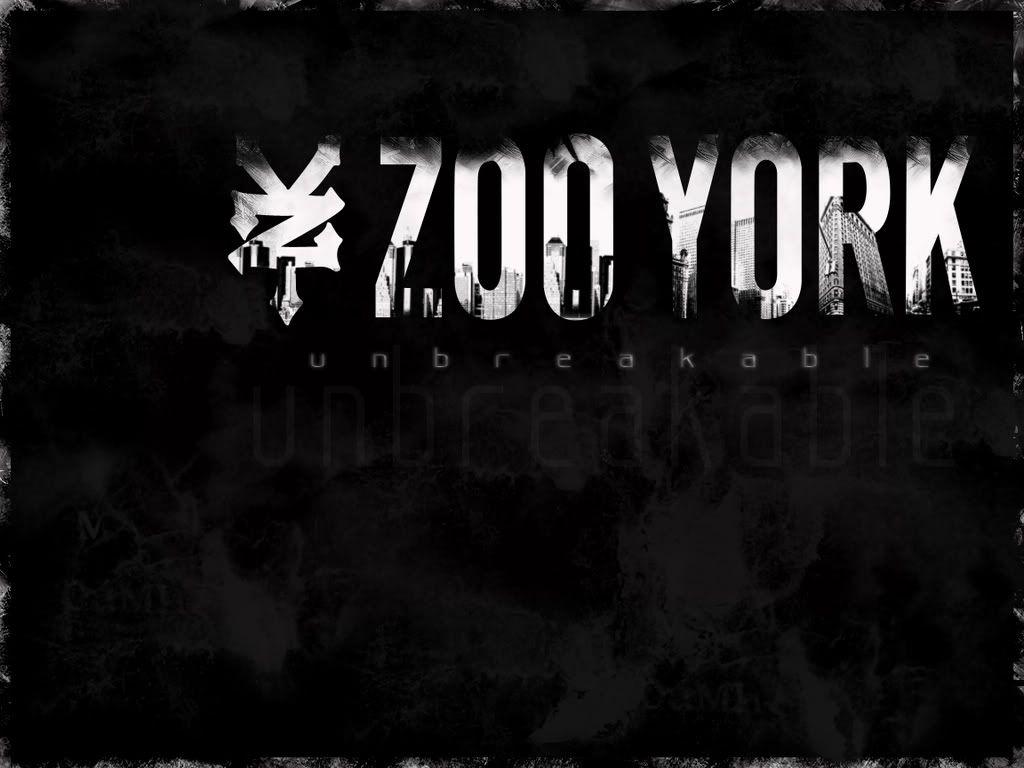 Zoo York Wallpapers Wallpaper Cave