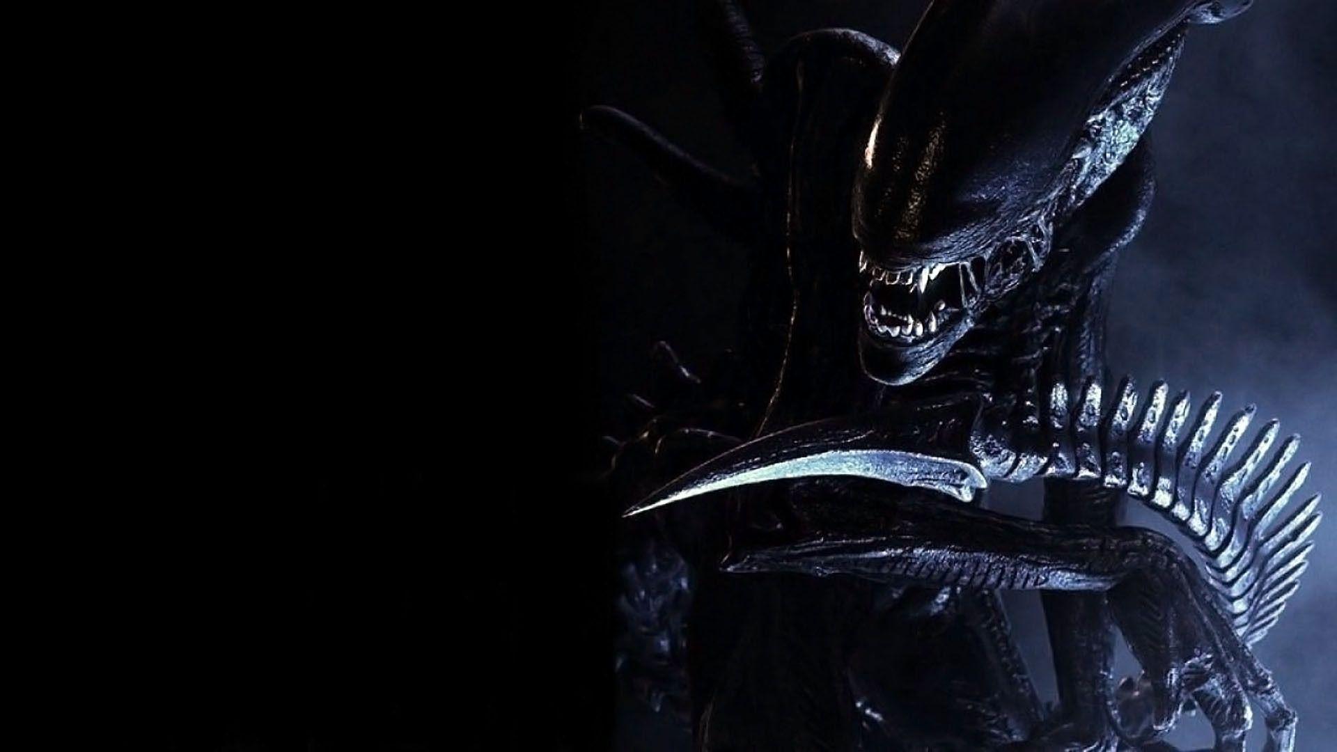 Xenomorph Wallpapers Wallpaper Cave