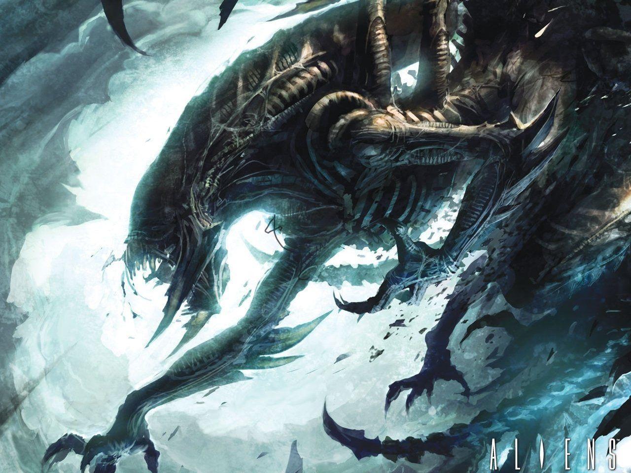 Xenomorph Wallpapers Wallpaper Cave