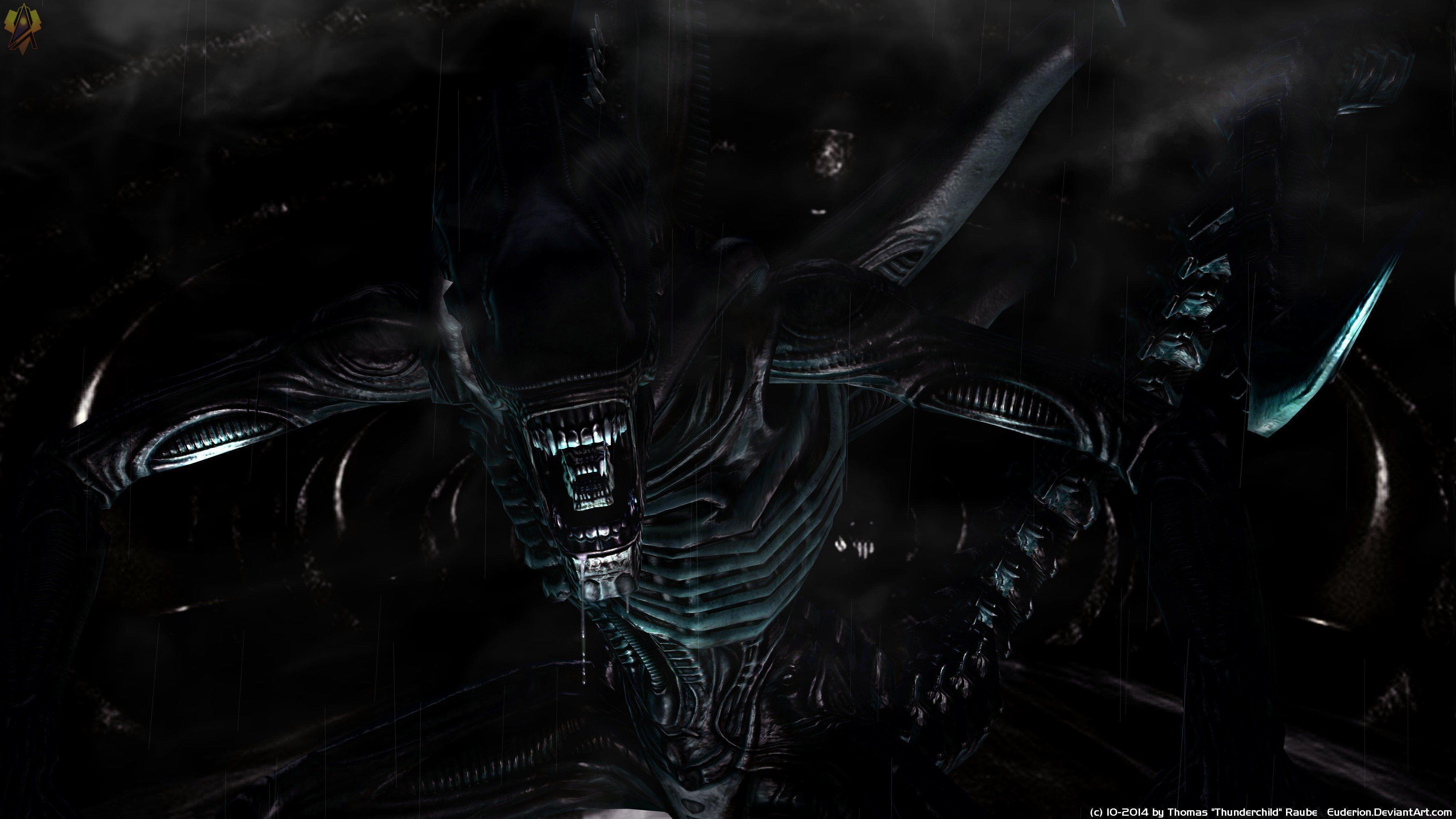 Xenomorph Wallpapers Wallpaper Cave
