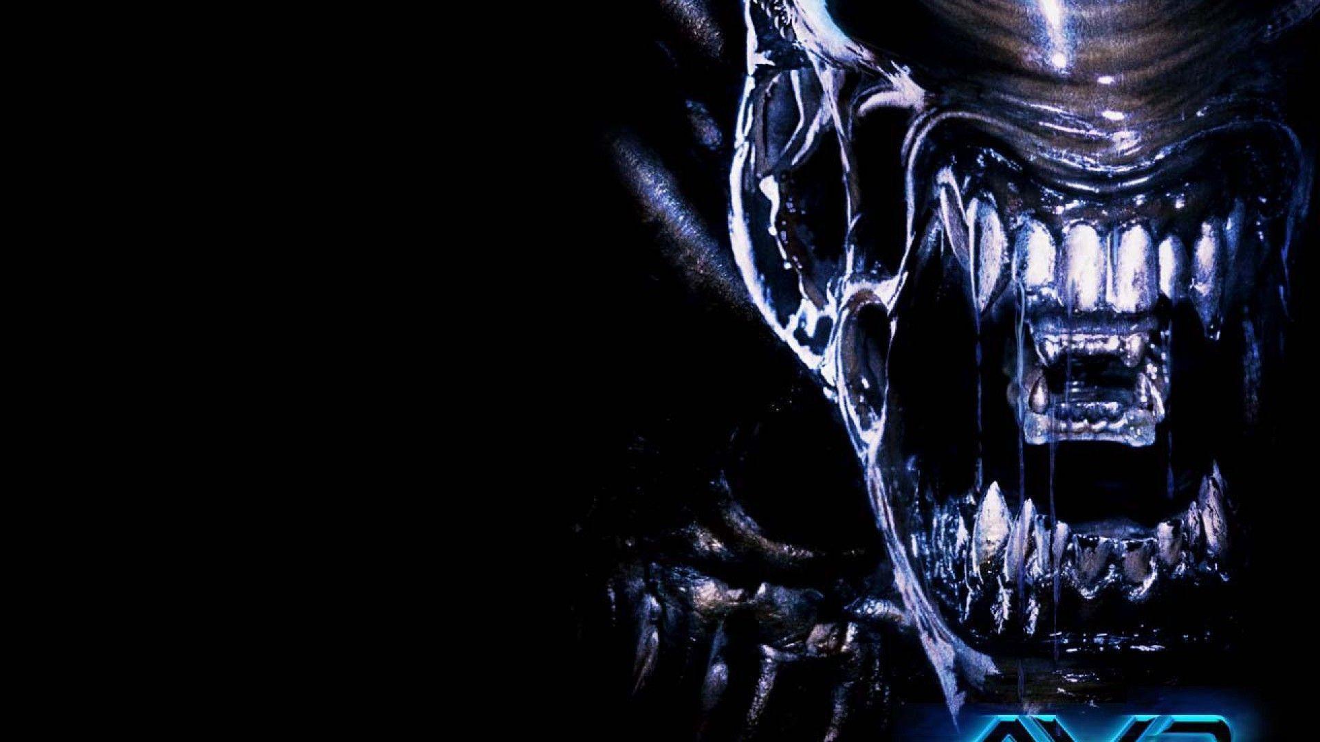 Xenomorph Wallpapers Wallpaper Cave