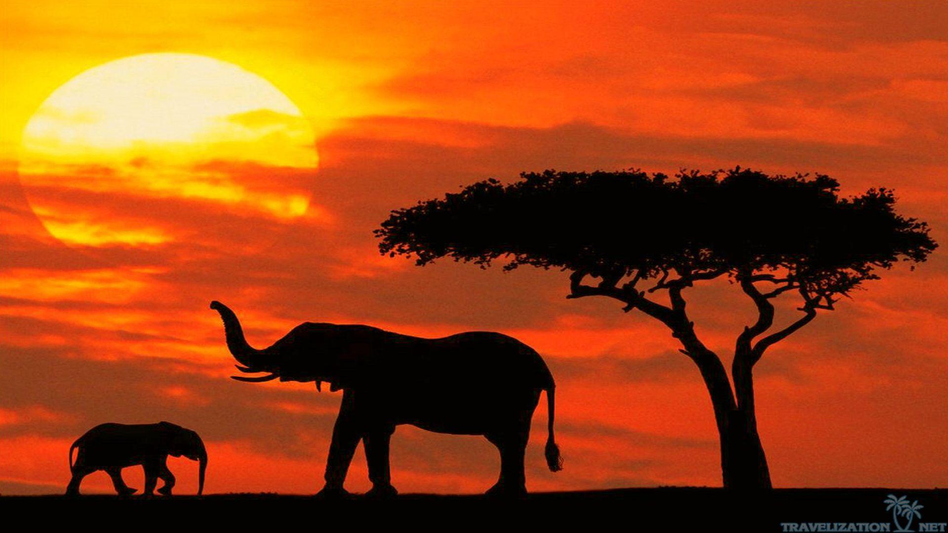 Kenya Wallpapers Wallpaper Cave